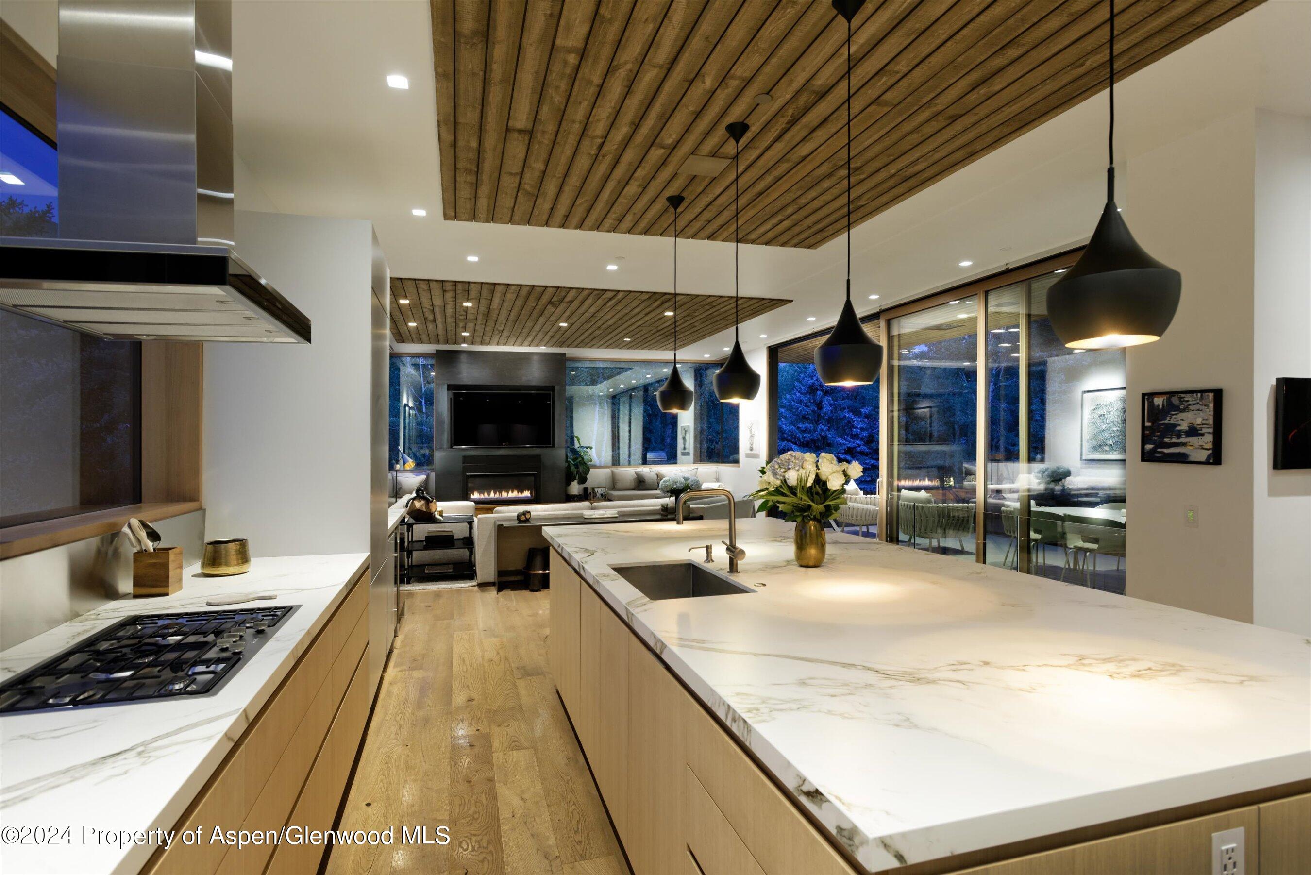 1035 Cemetery Lane Aspen CO 81611