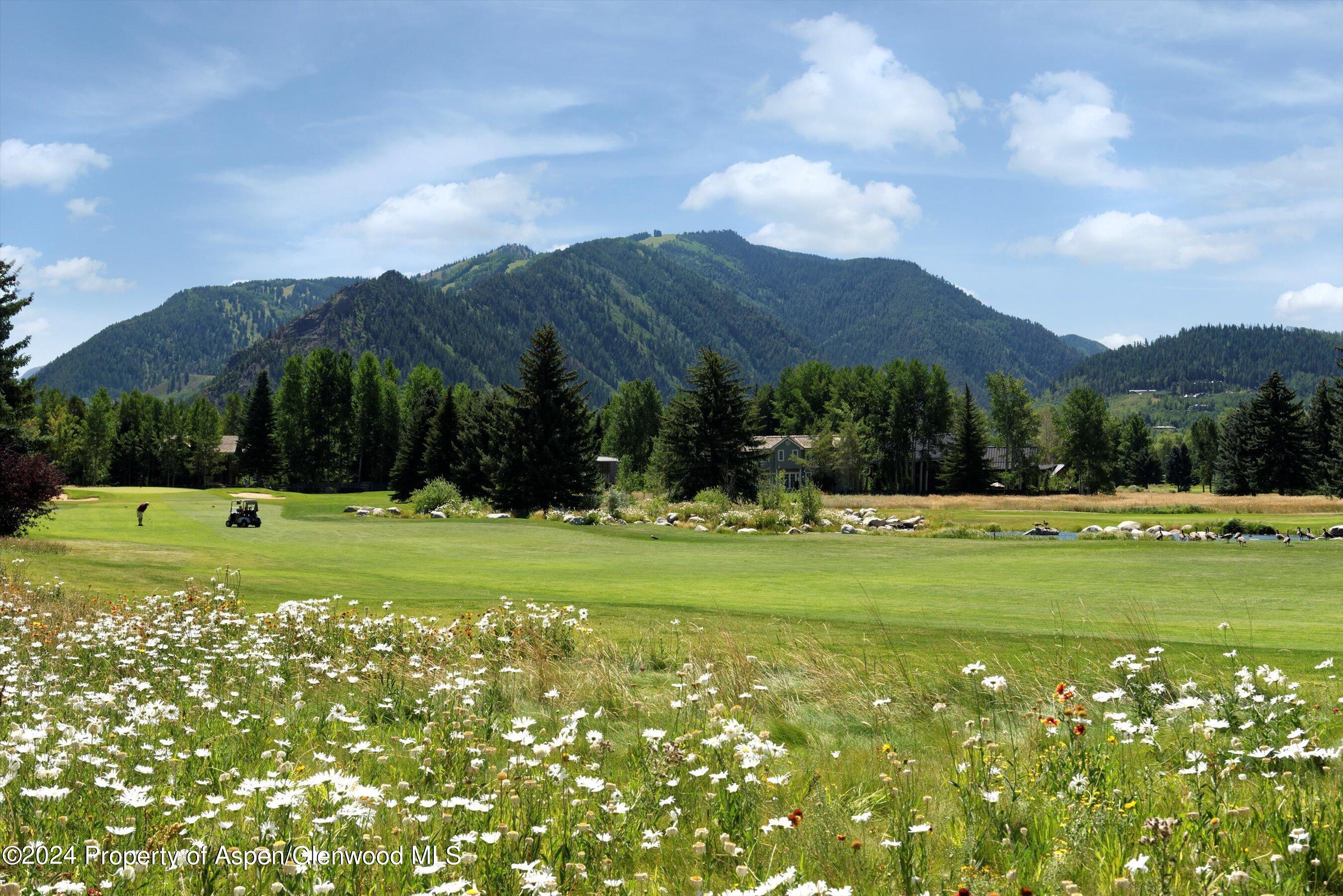 1035 Cemetery Lane Aspen CO 81611