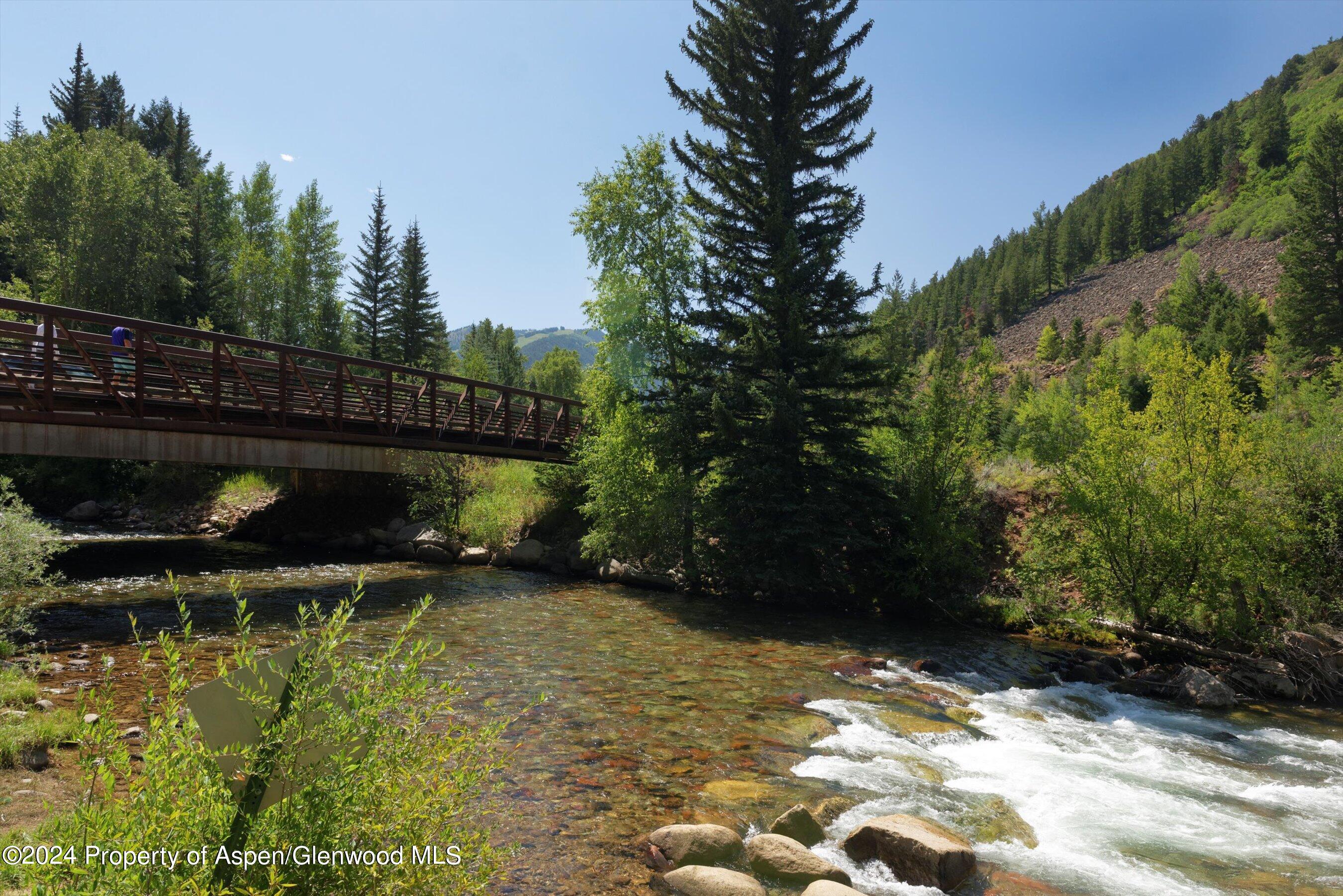 1035 Cemetery Lane Aspen CO 81611