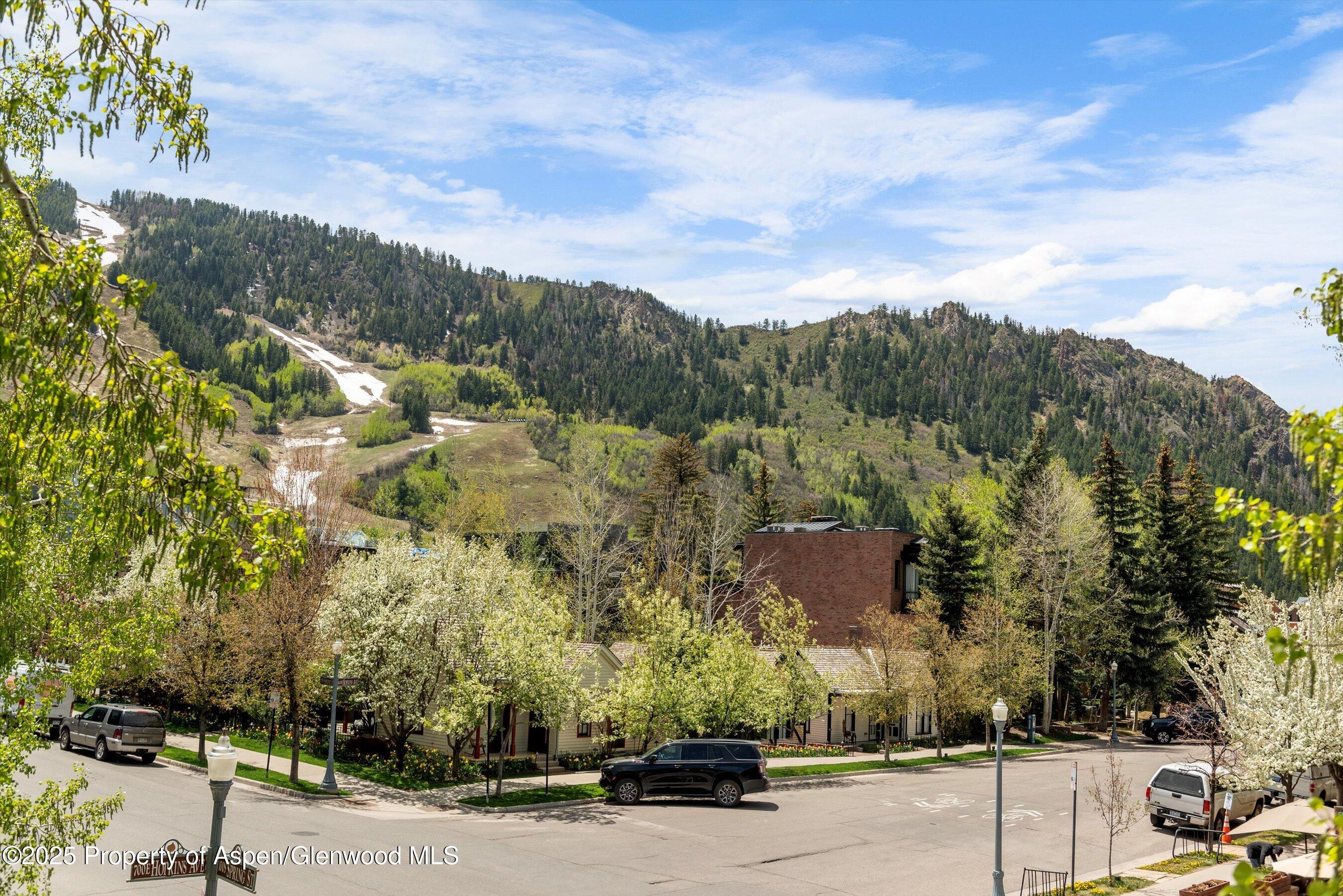 120 S Spring Street Aspen CO 81611