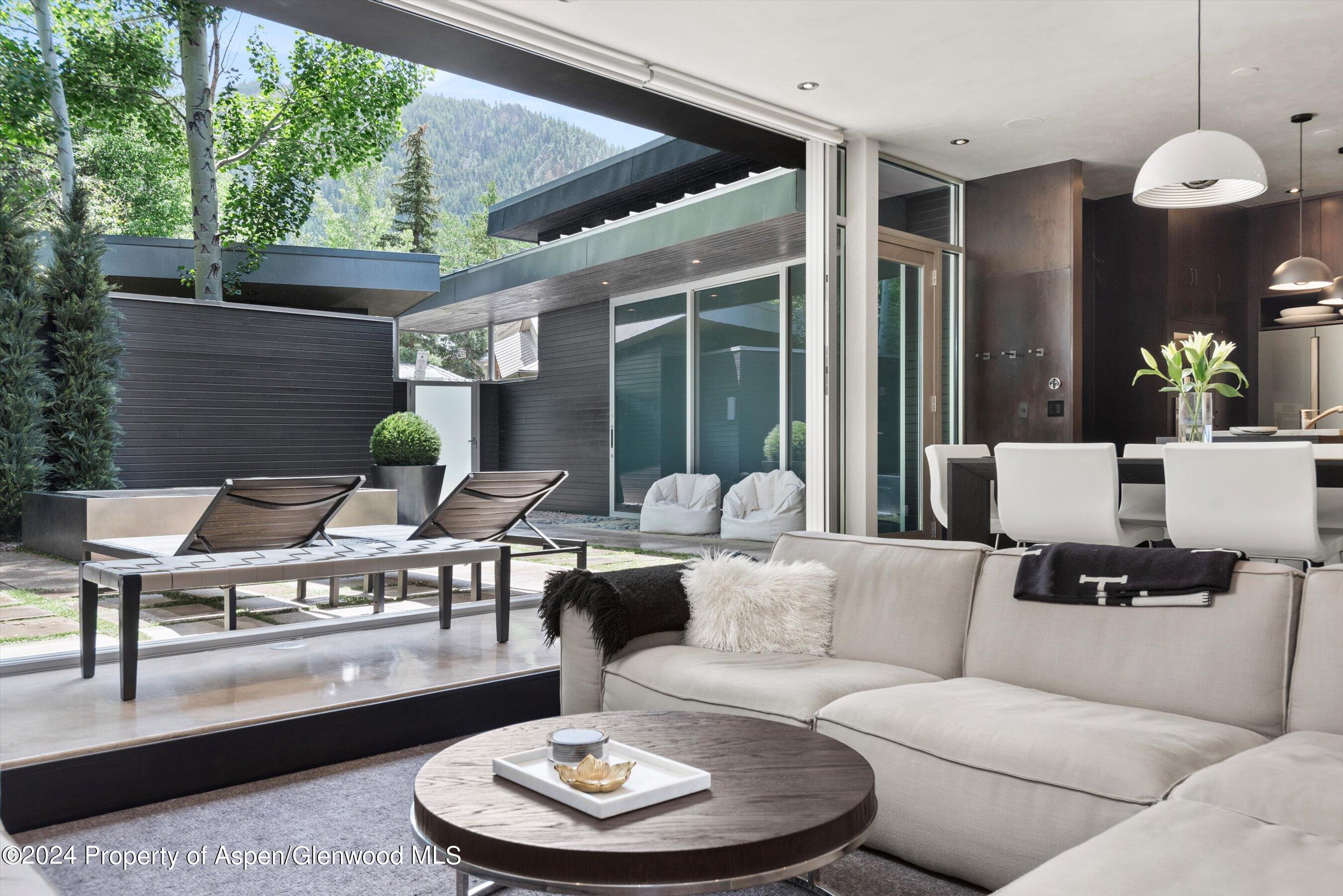 1180 Dale Avenue Aspen CO 81611