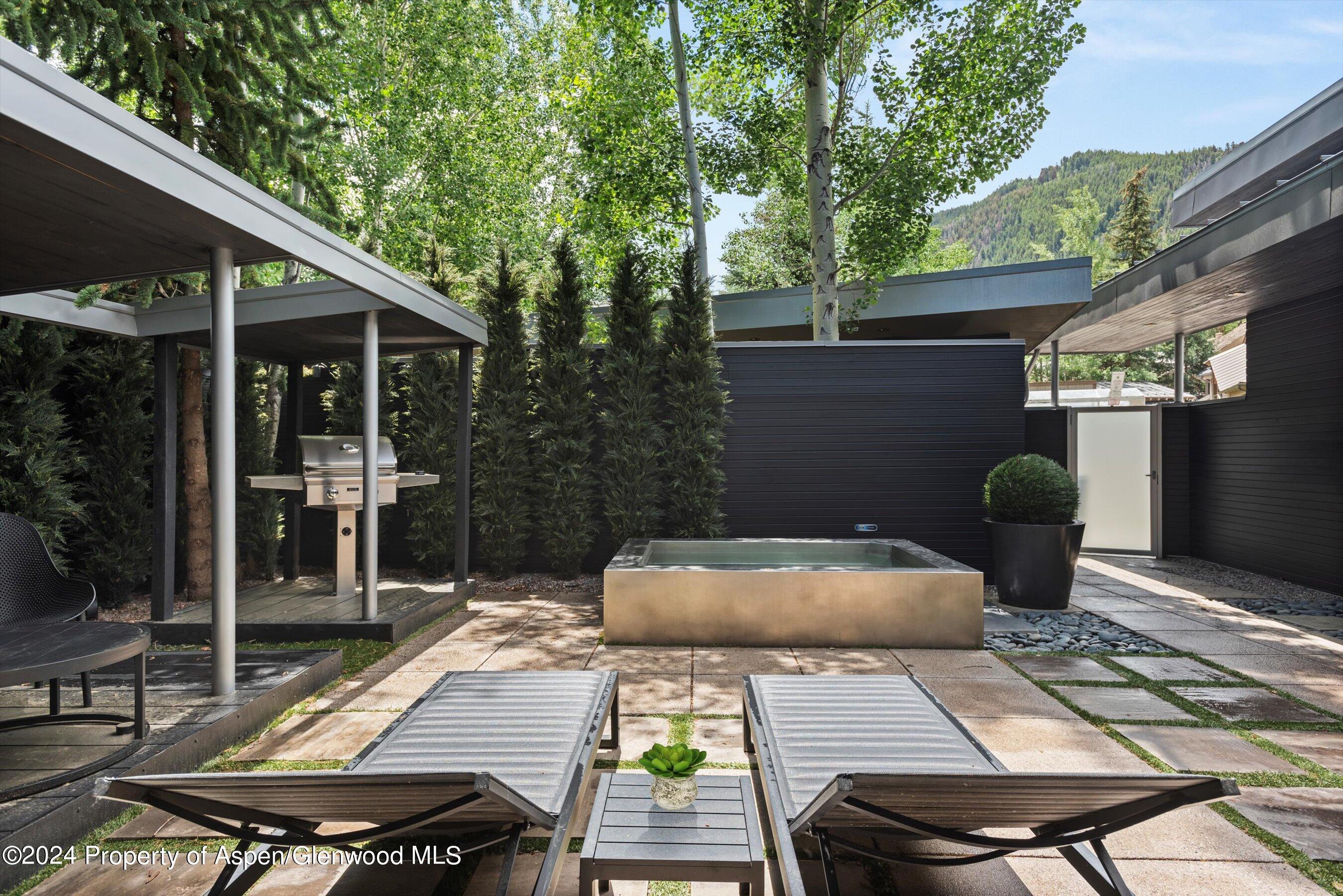 1180 Dale Avenue Aspen CO 81611