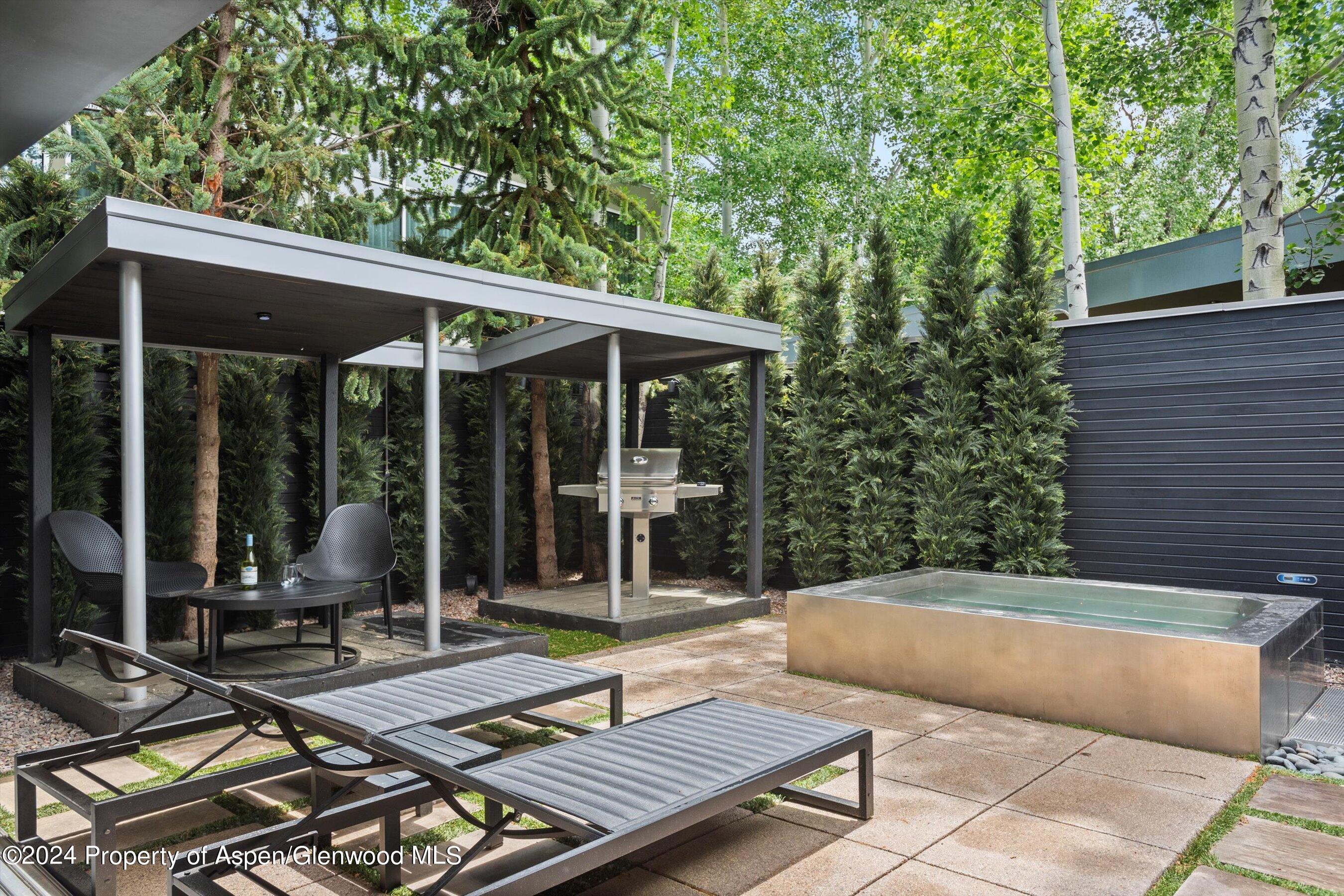 1180 Dale Avenue Aspen CO 81611