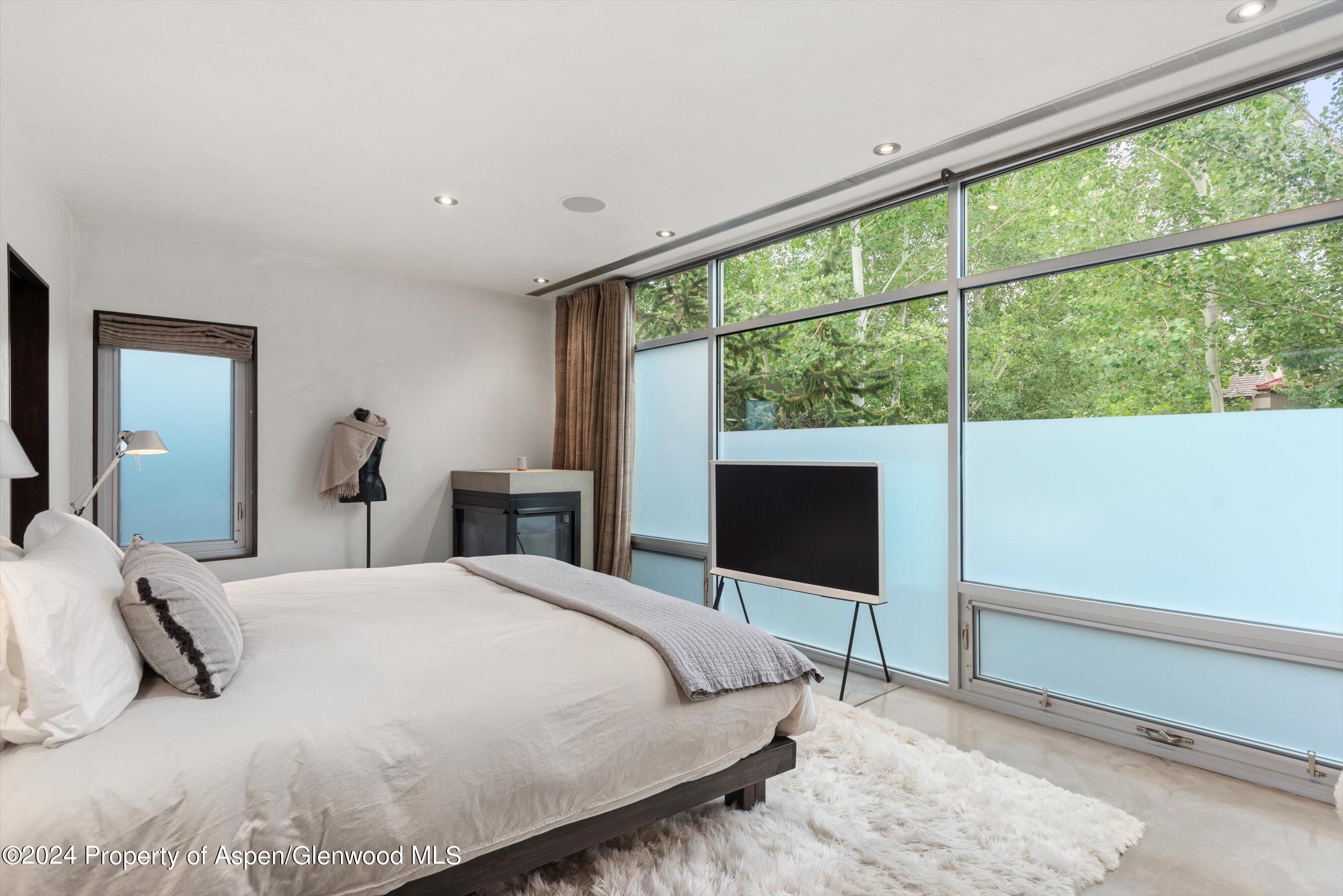 1180 Dale Avenue Aspen CO 81611