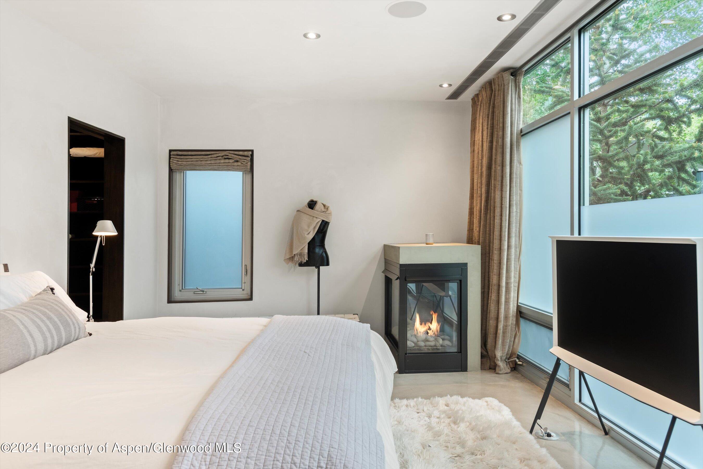 1180 Dale Avenue Aspen CO 81611