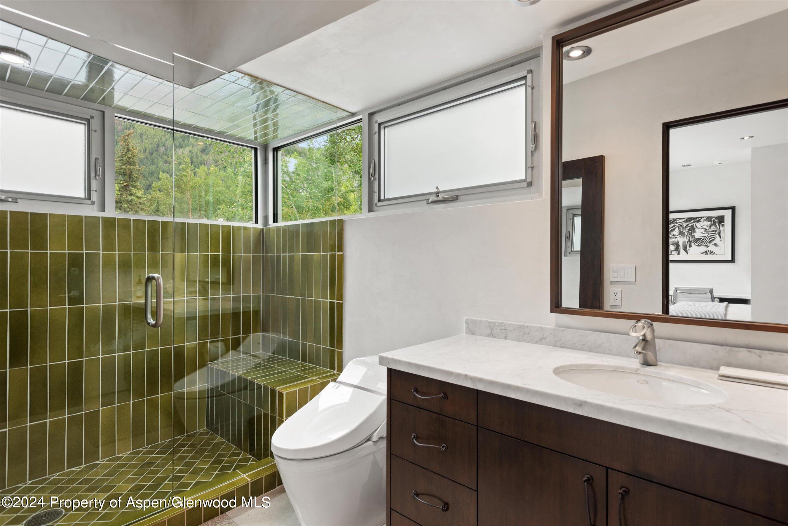 1180 Dale Avenue Aspen CO 81611