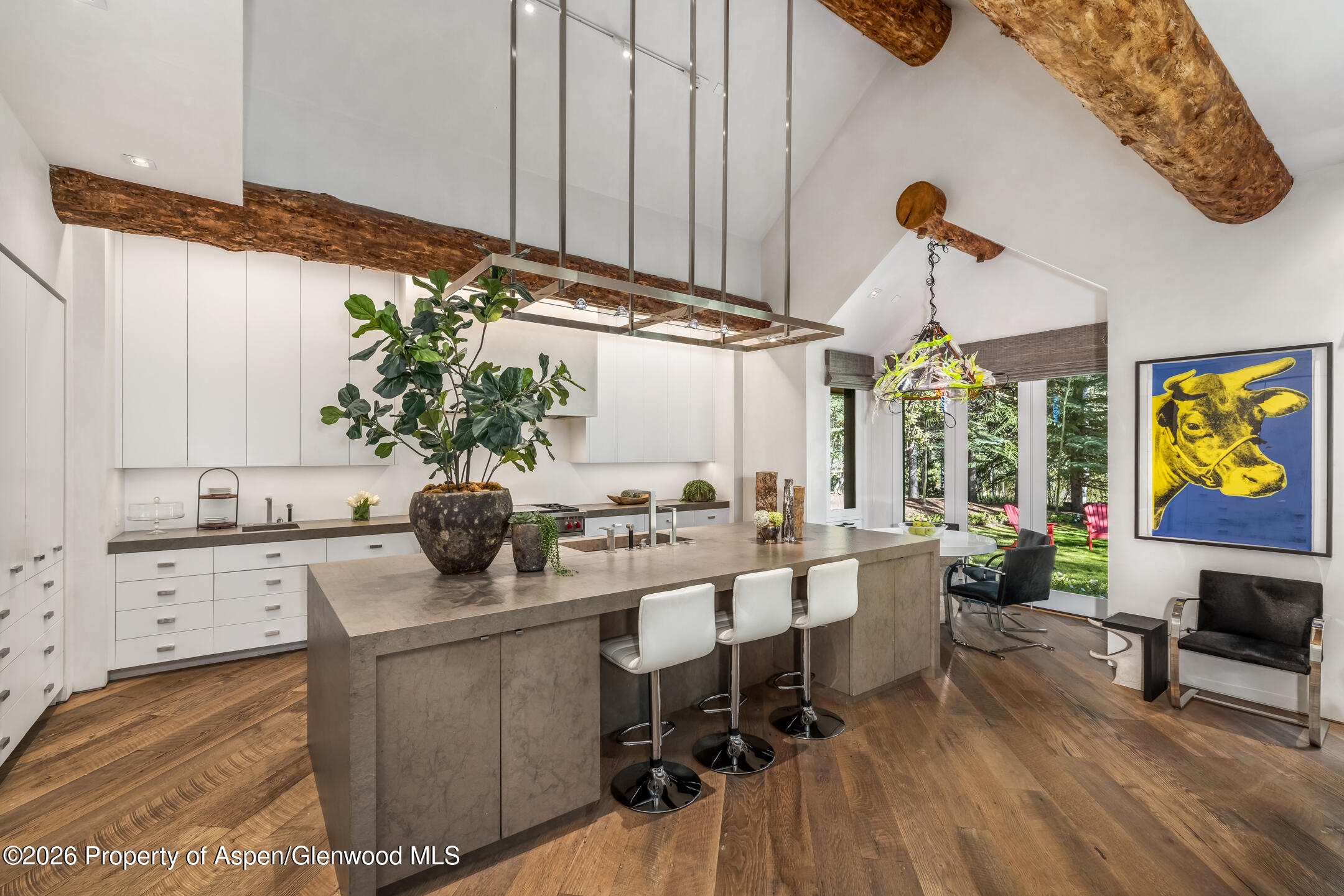 257 Northstar Drive Aspen CO 81611