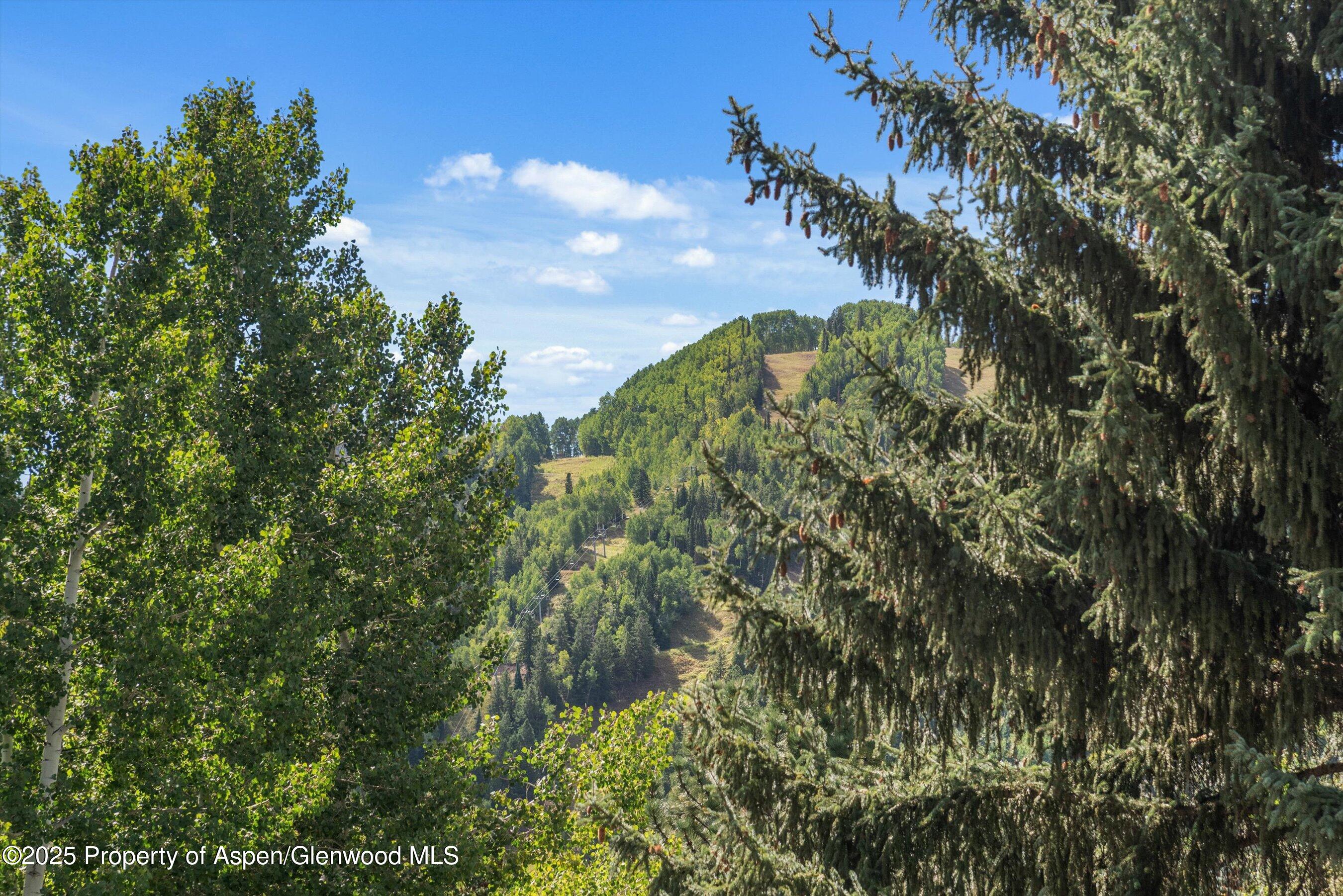 500 W Francis Street Aspen CO 81611