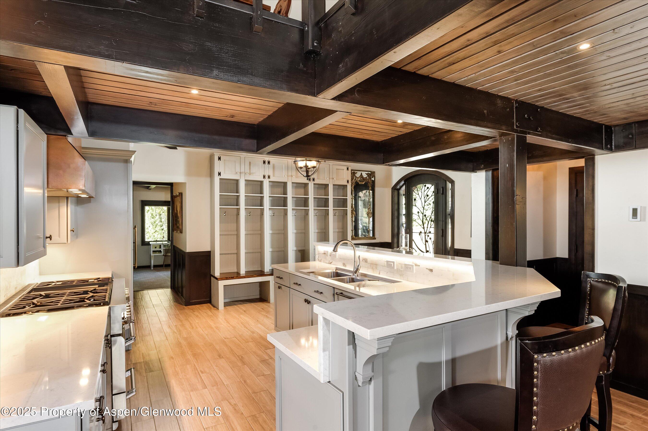 39 Roaring Fork Drive Aspen CO 81611