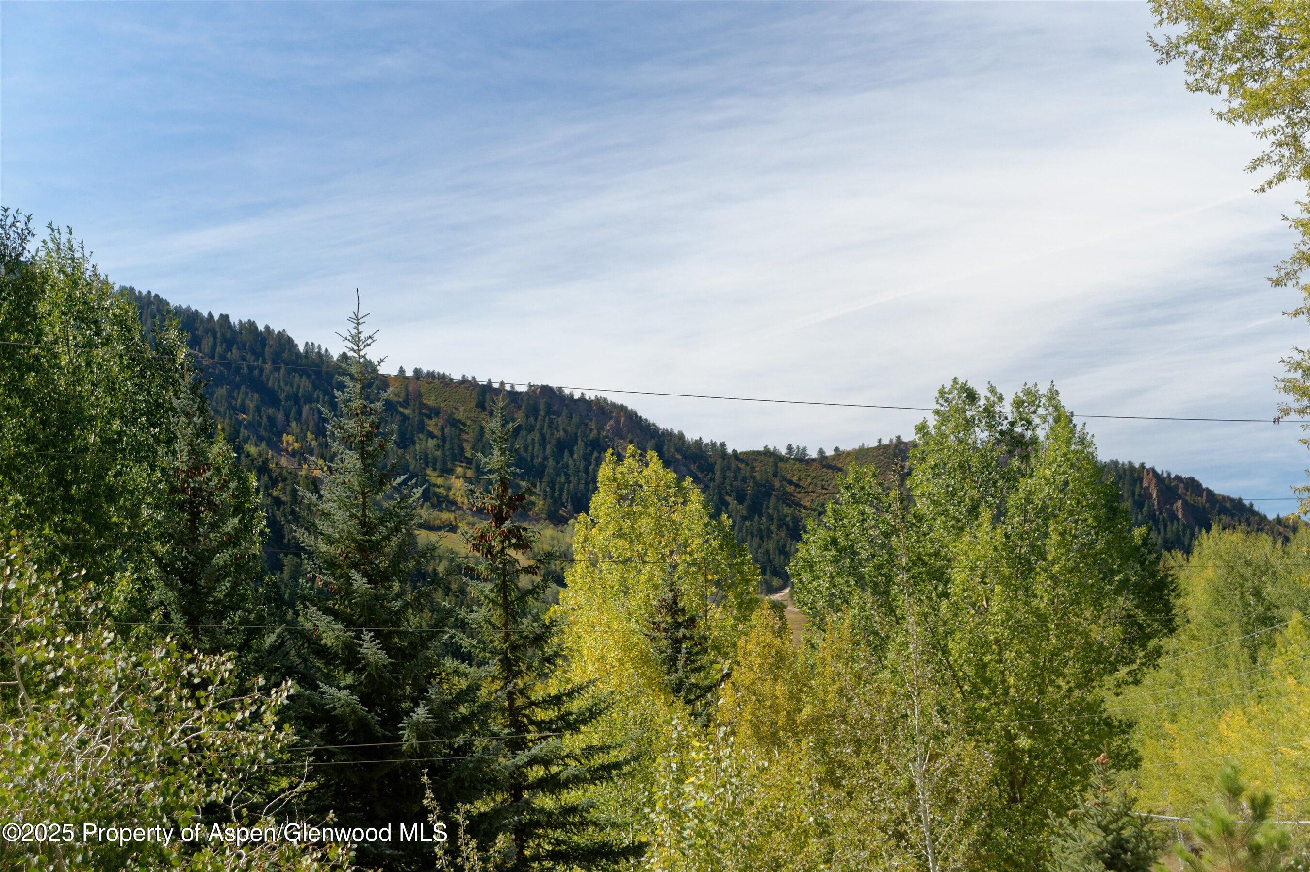 39 Roaring Fork Drive Aspen CO 81611