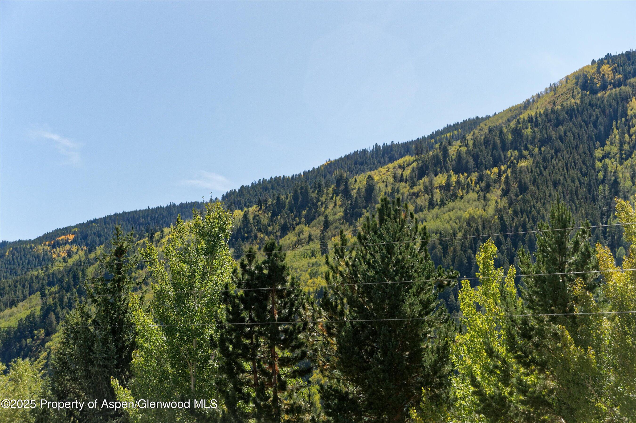 39 Roaring Fork Drive Aspen CO 81611