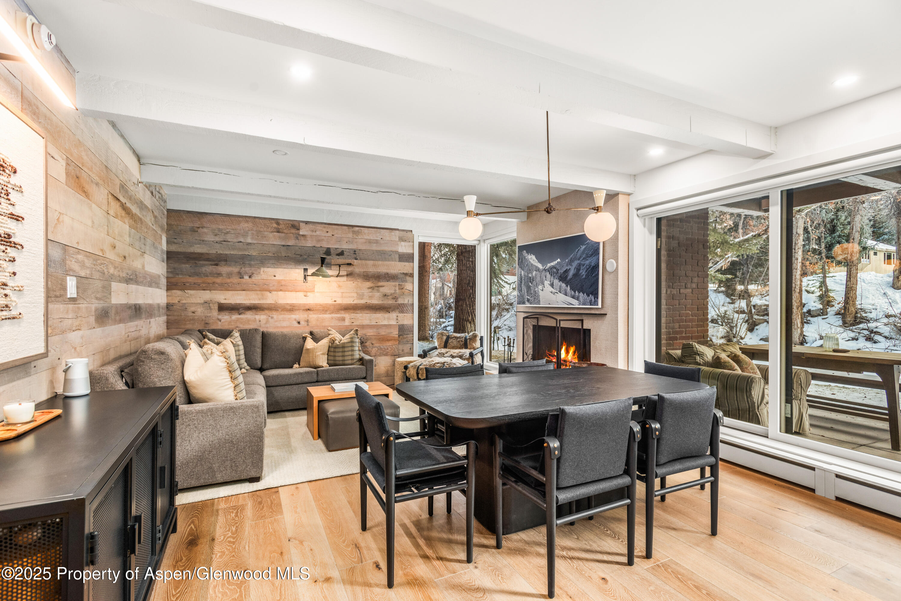 1034 E Cooper Avenue Aspen CO 81611