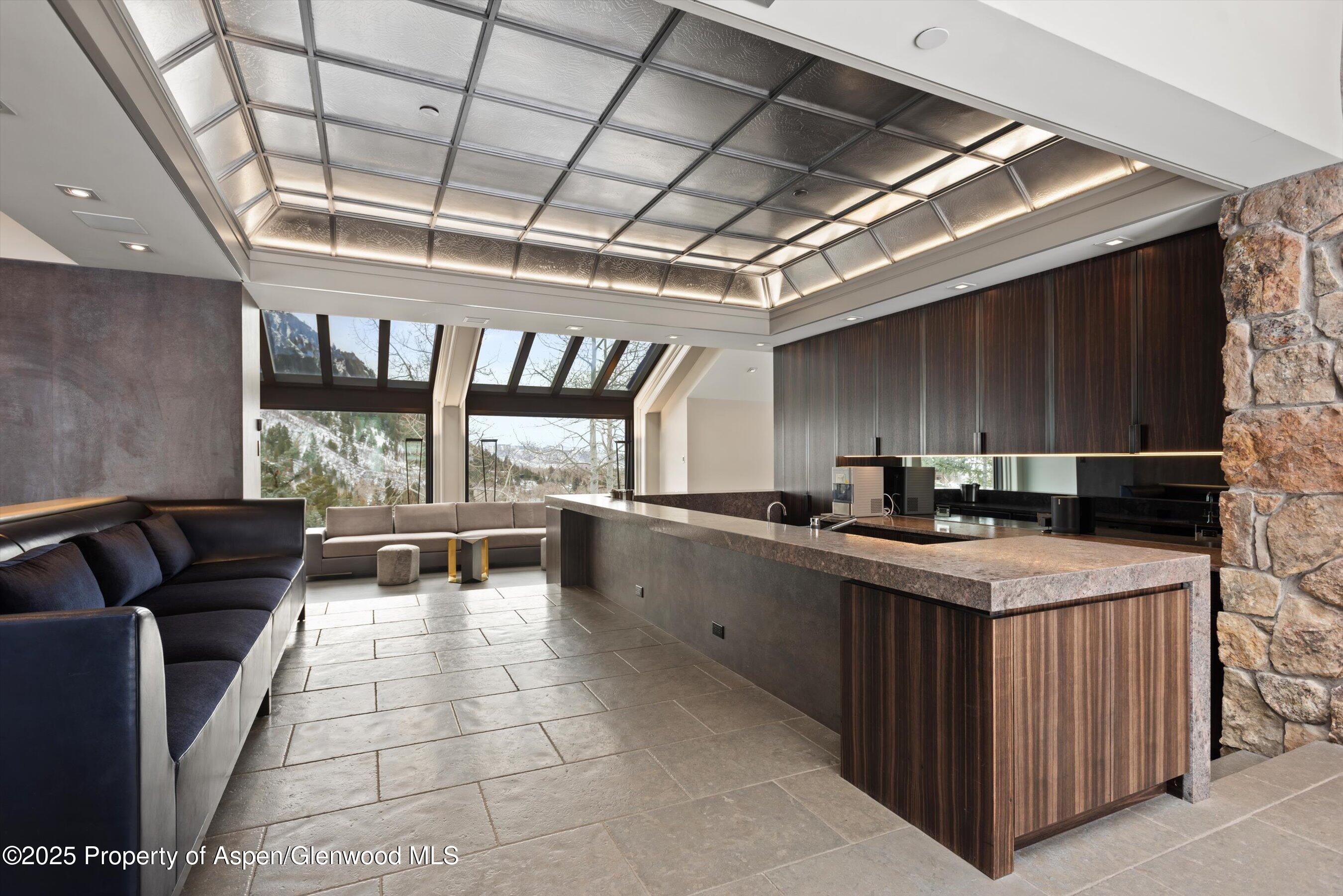 730 S Galena Street Aspen CO 81611