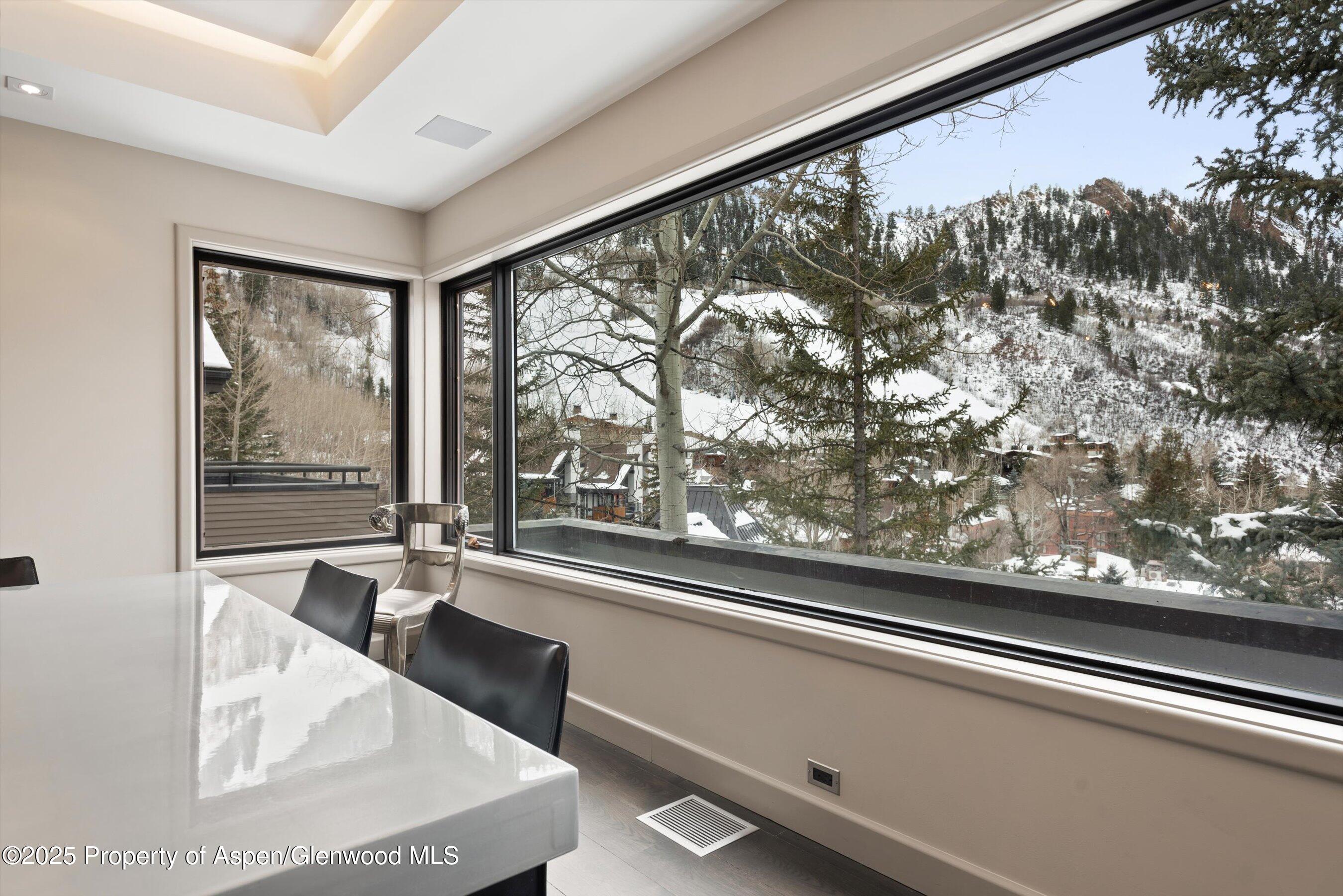 730 S Galena Street Aspen CO 81611