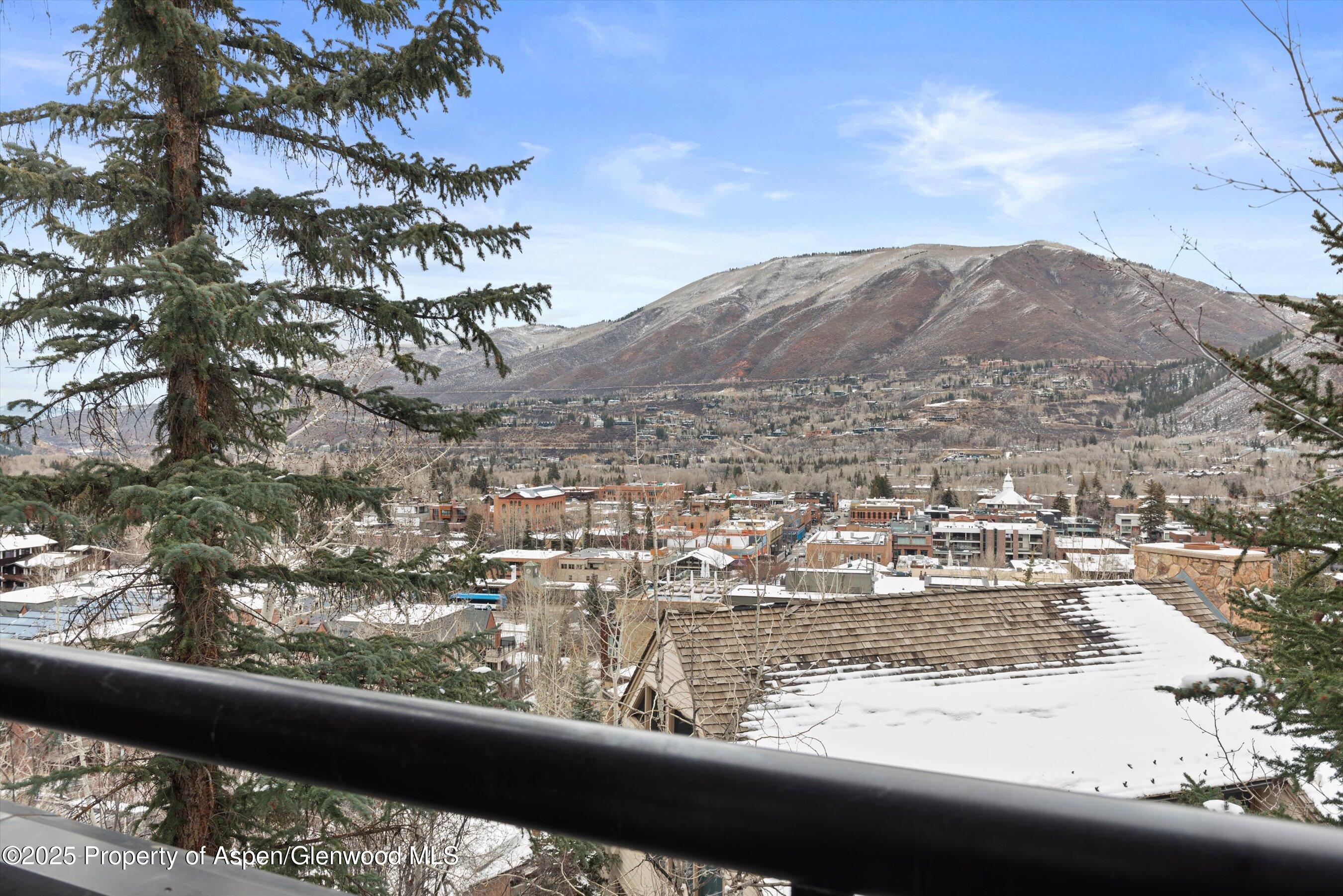 730 S Galena Street Aspen CO 81611