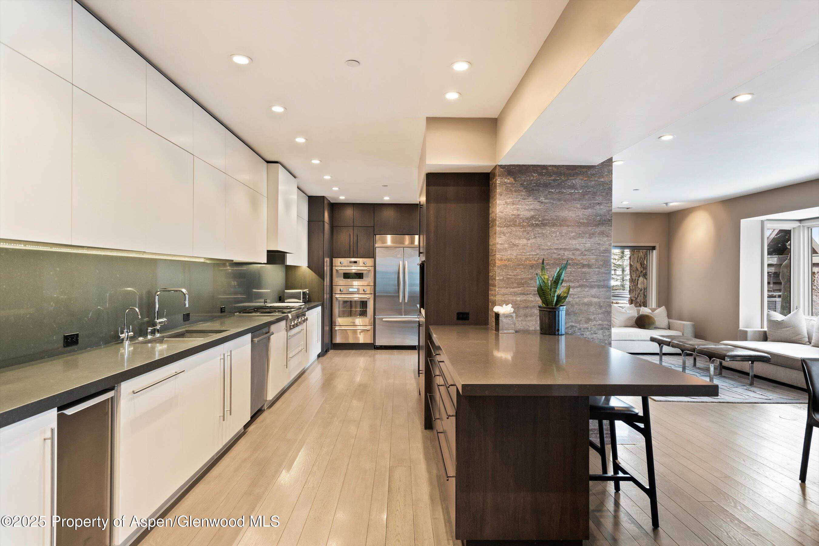 730 S Galena Street Aspen CO 81611