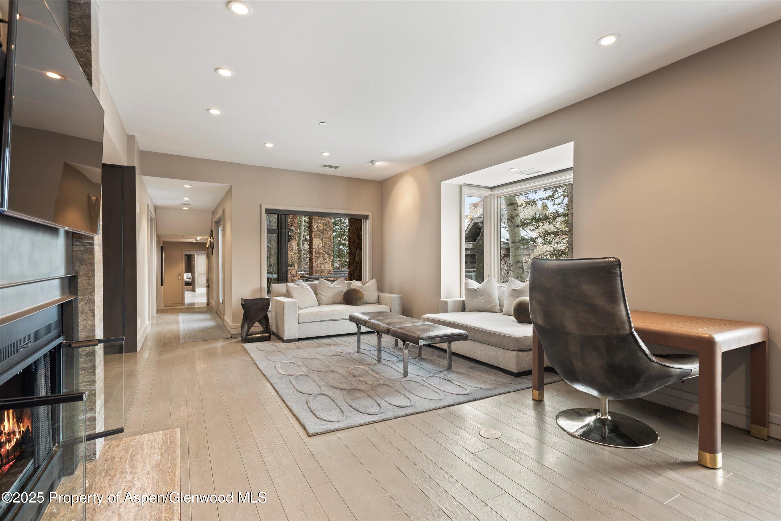 730 S Galena Street Aspen CO 81611