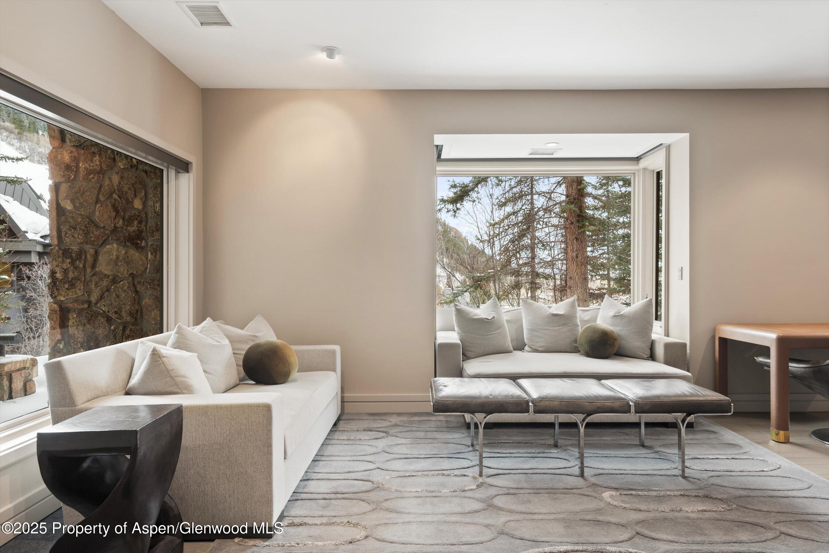 730 S Galena Street Aspen CO 81611