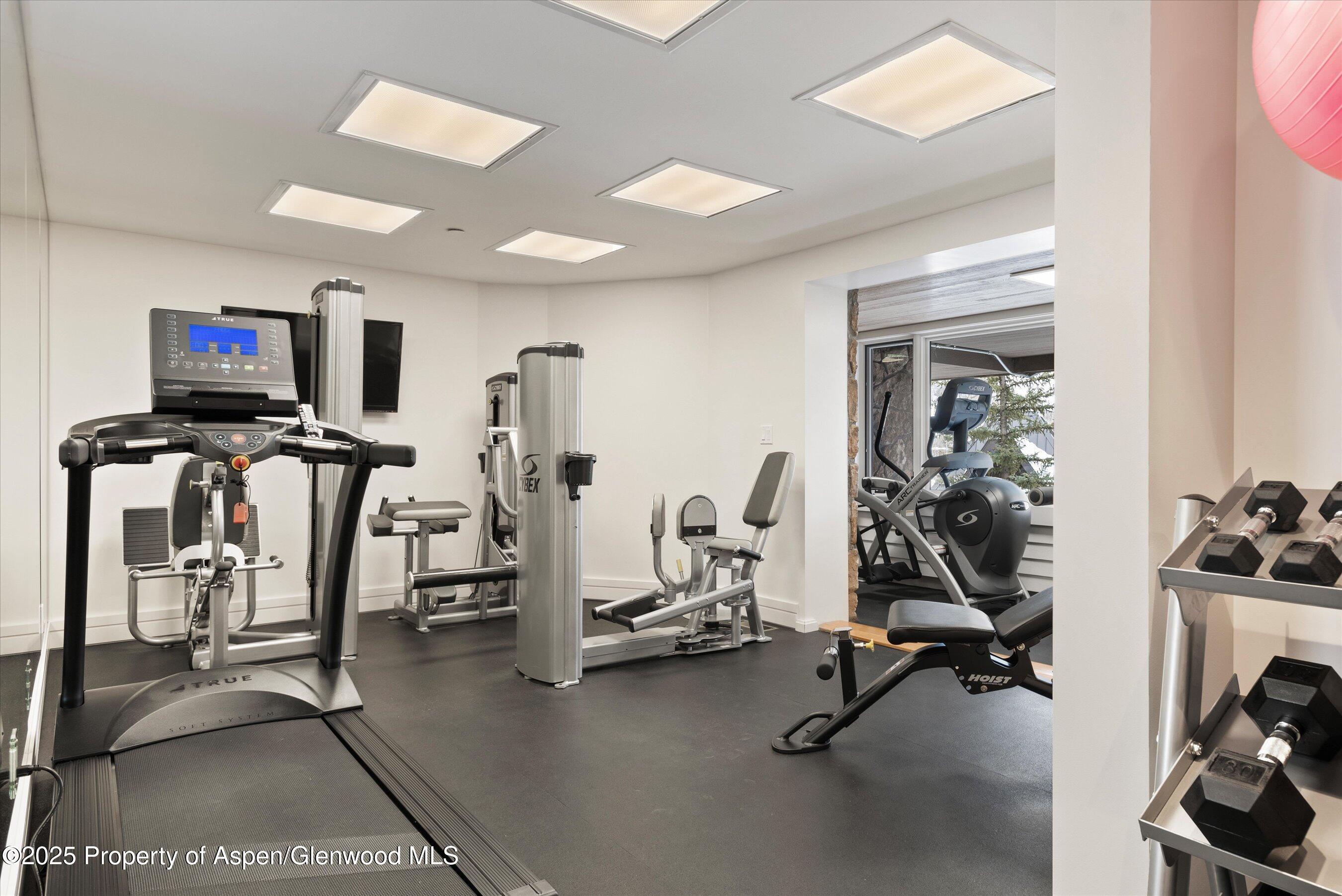 730 S Galena Street Aspen CO 81611