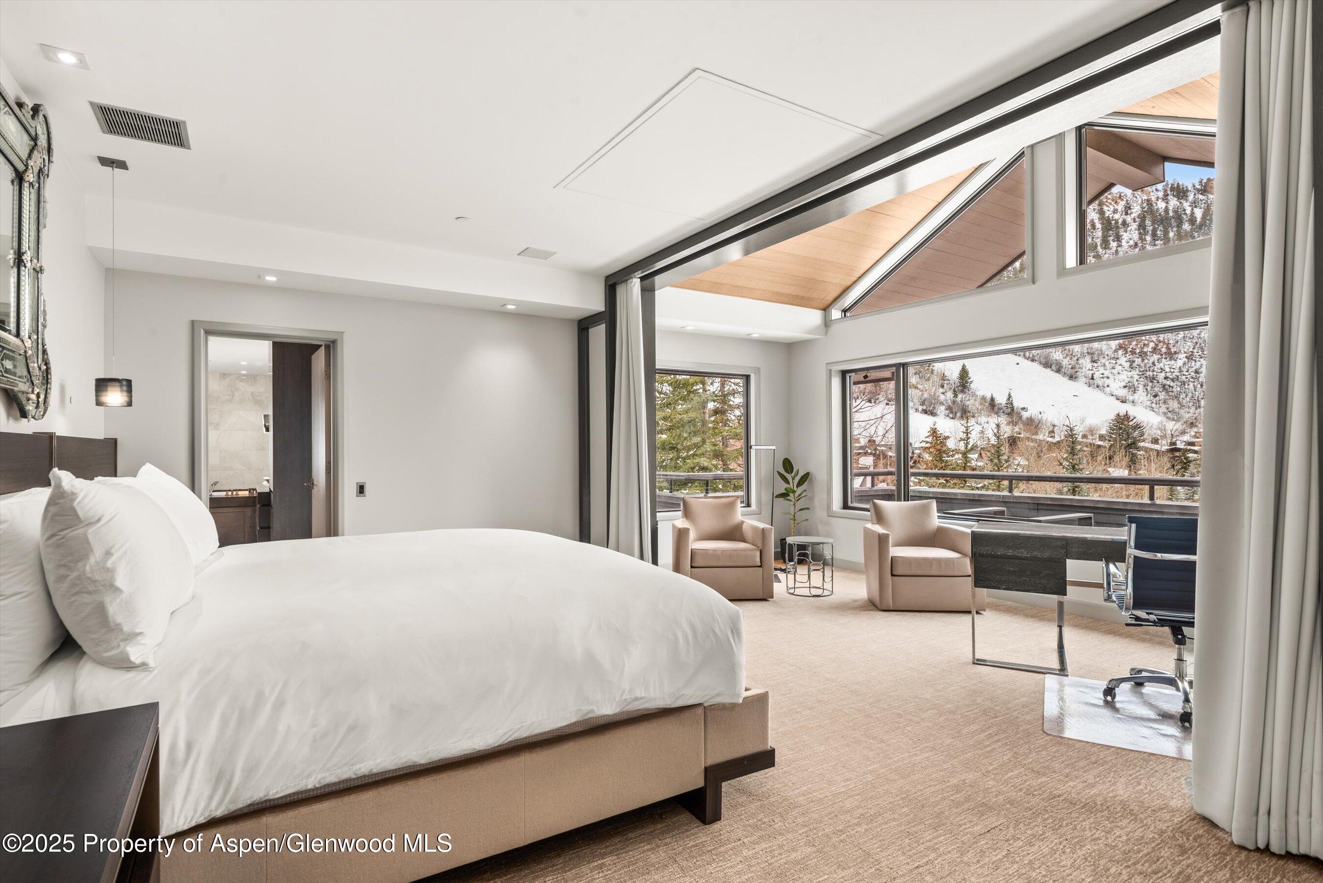 730 S Galena Street Aspen CO 81611