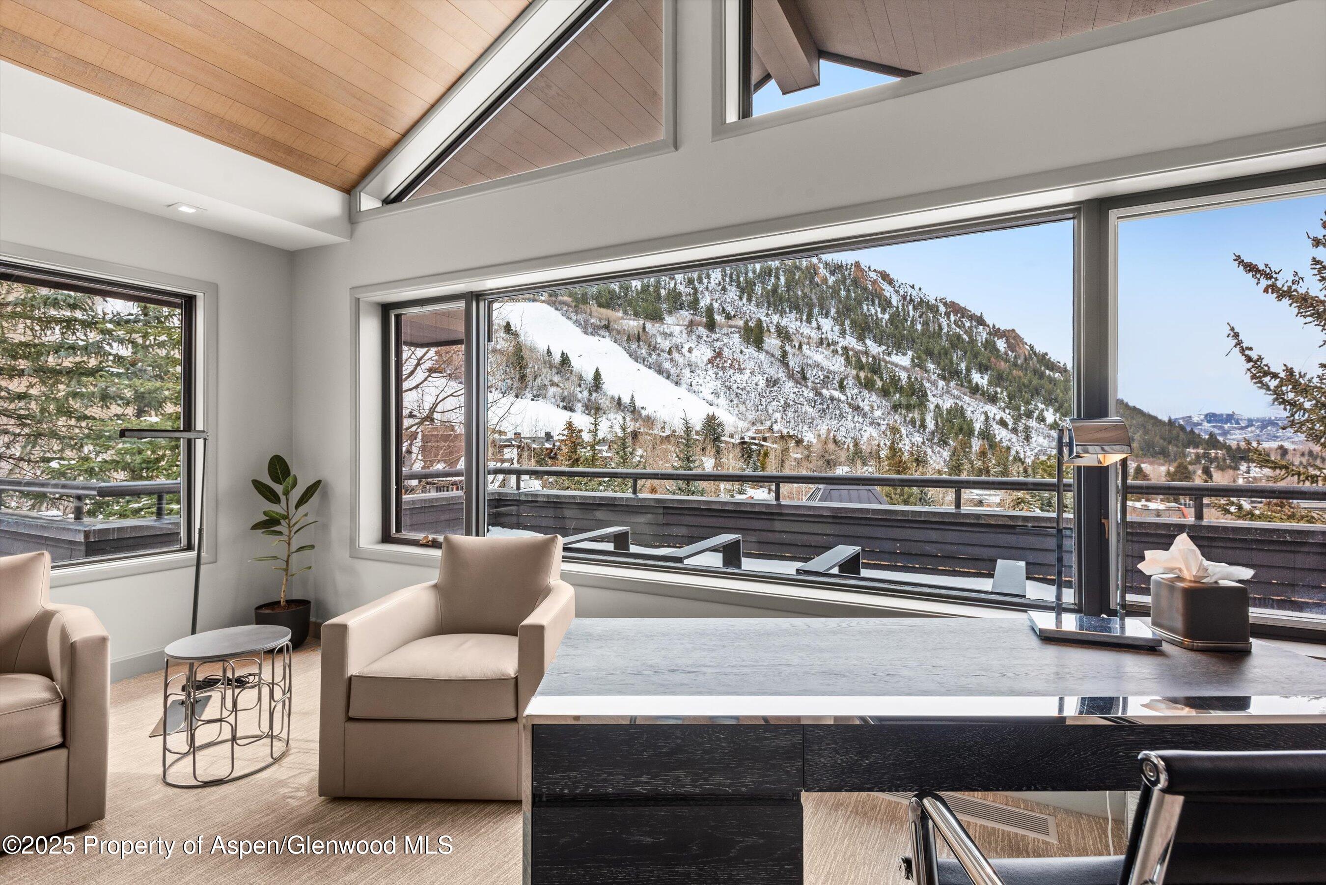 730 S Galena Street Aspen CO 81611