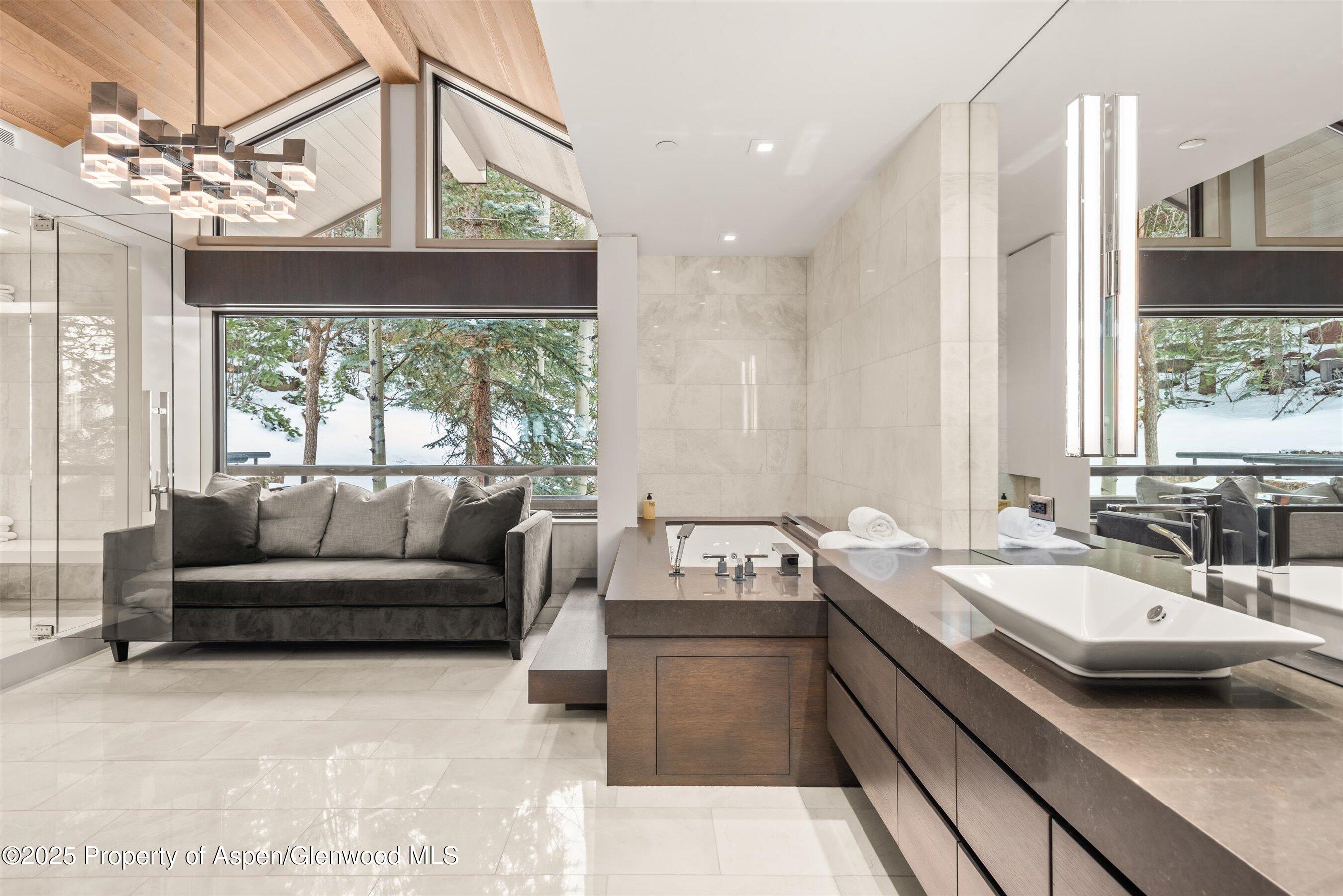 730 S Galena Street Aspen CO 81611