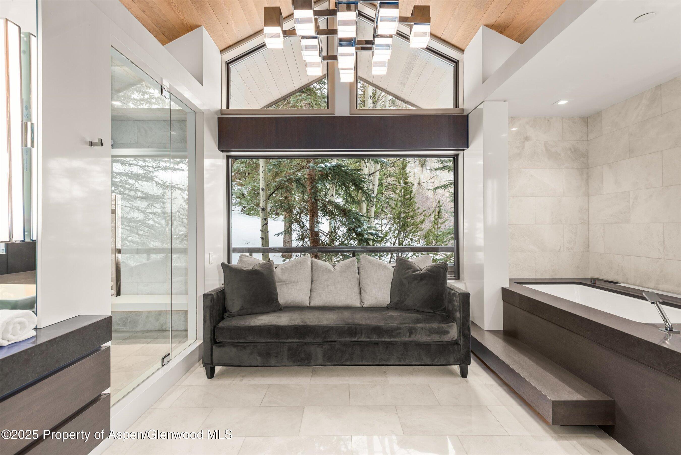 730 S Galena Street Aspen CO 81611