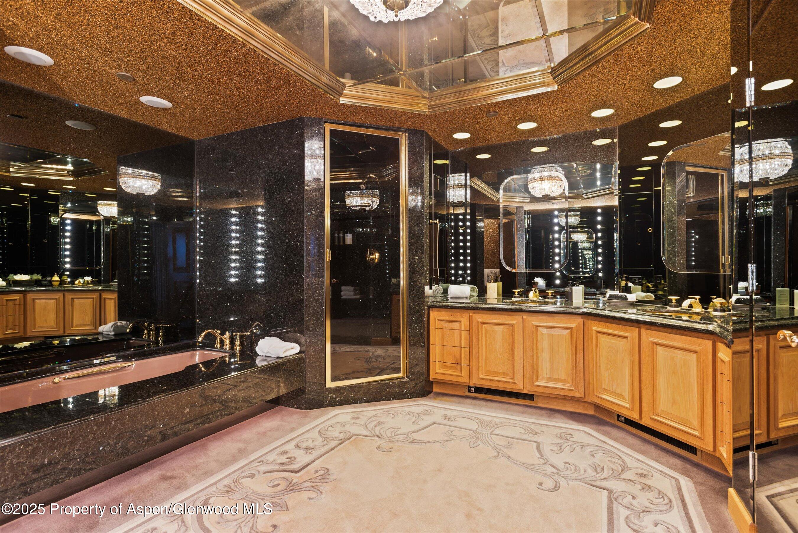 730 S Galena Street Aspen CO 81611