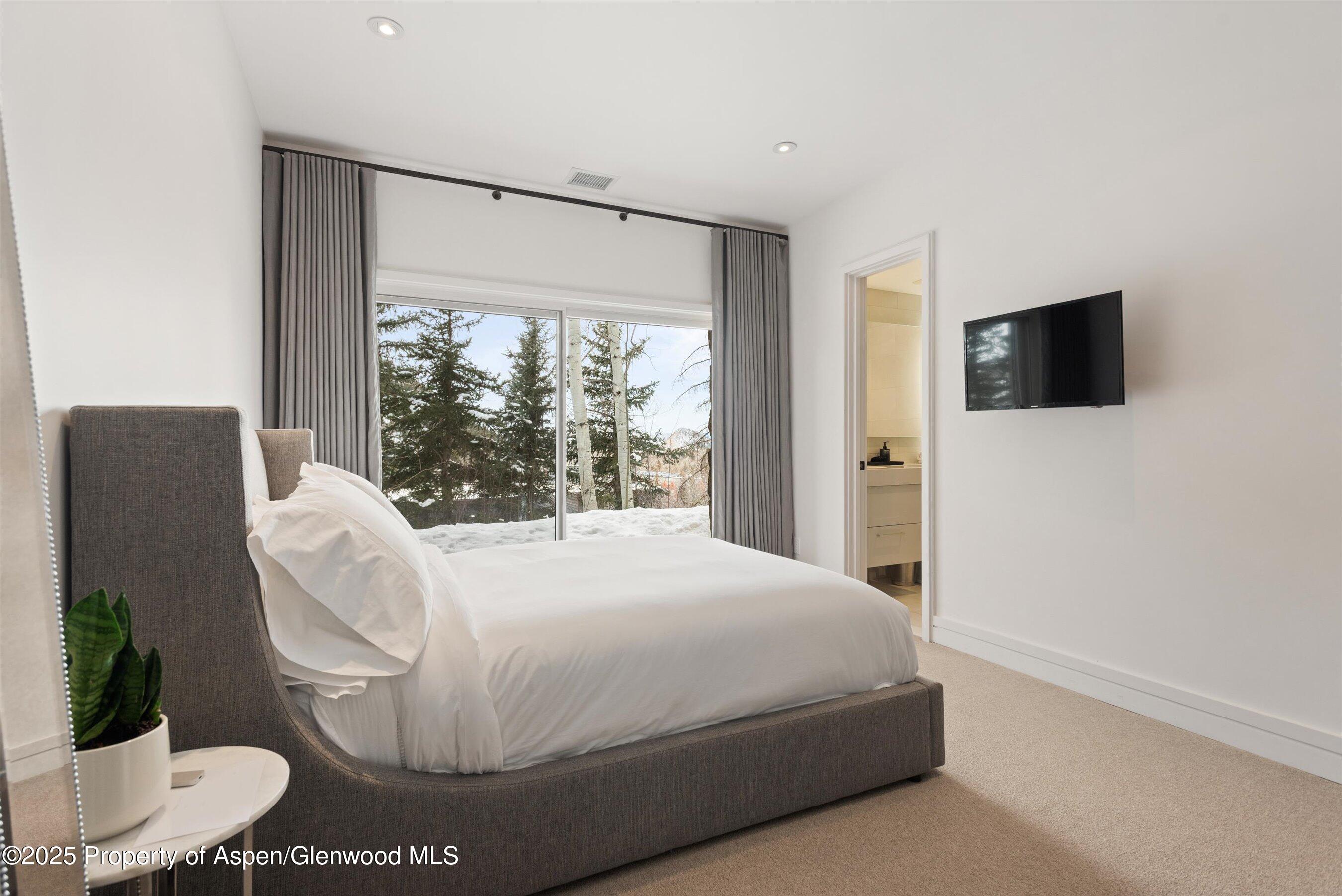 730 S Galena Street Aspen CO 81611