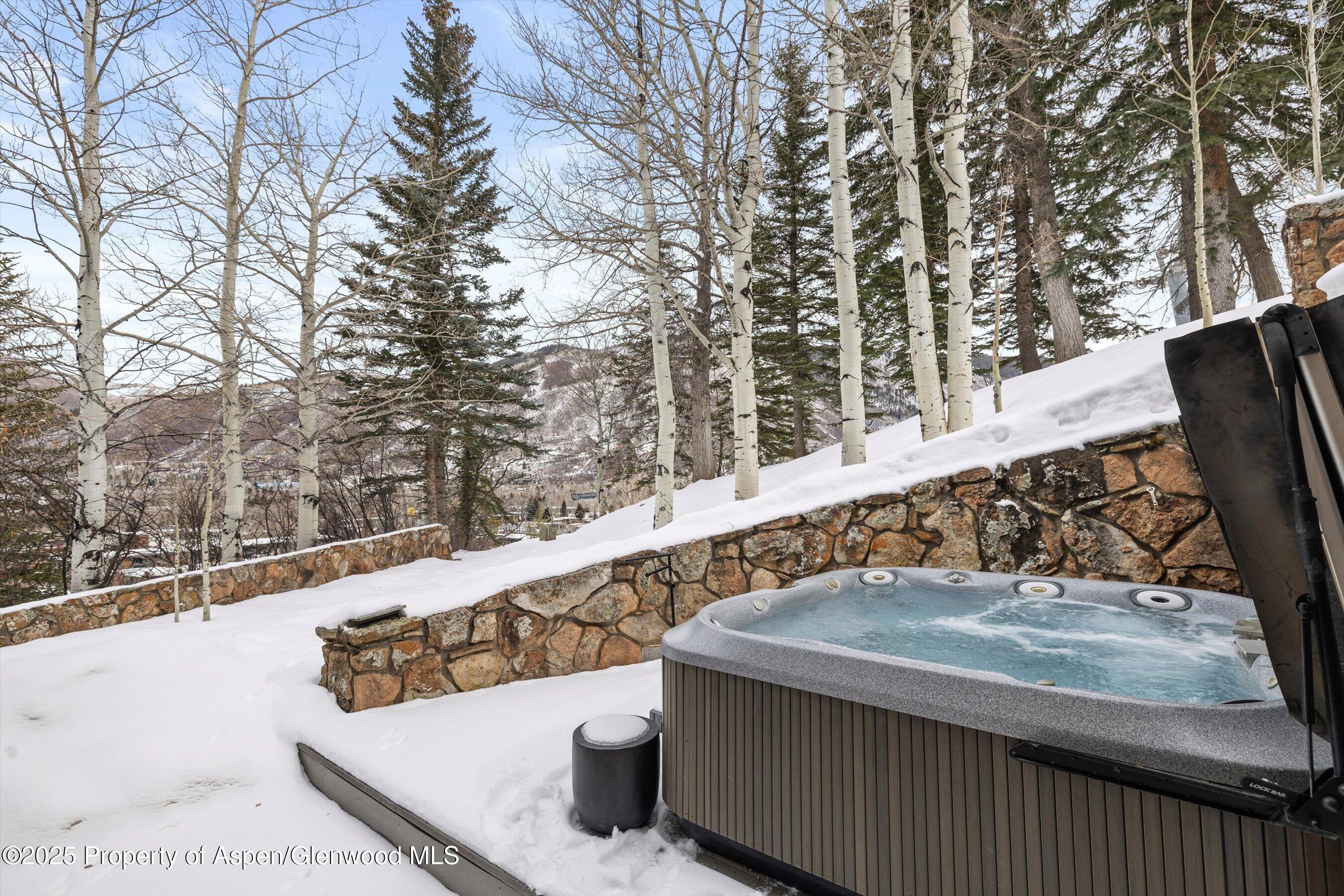 730 S Galena Street Aspen CO 81611