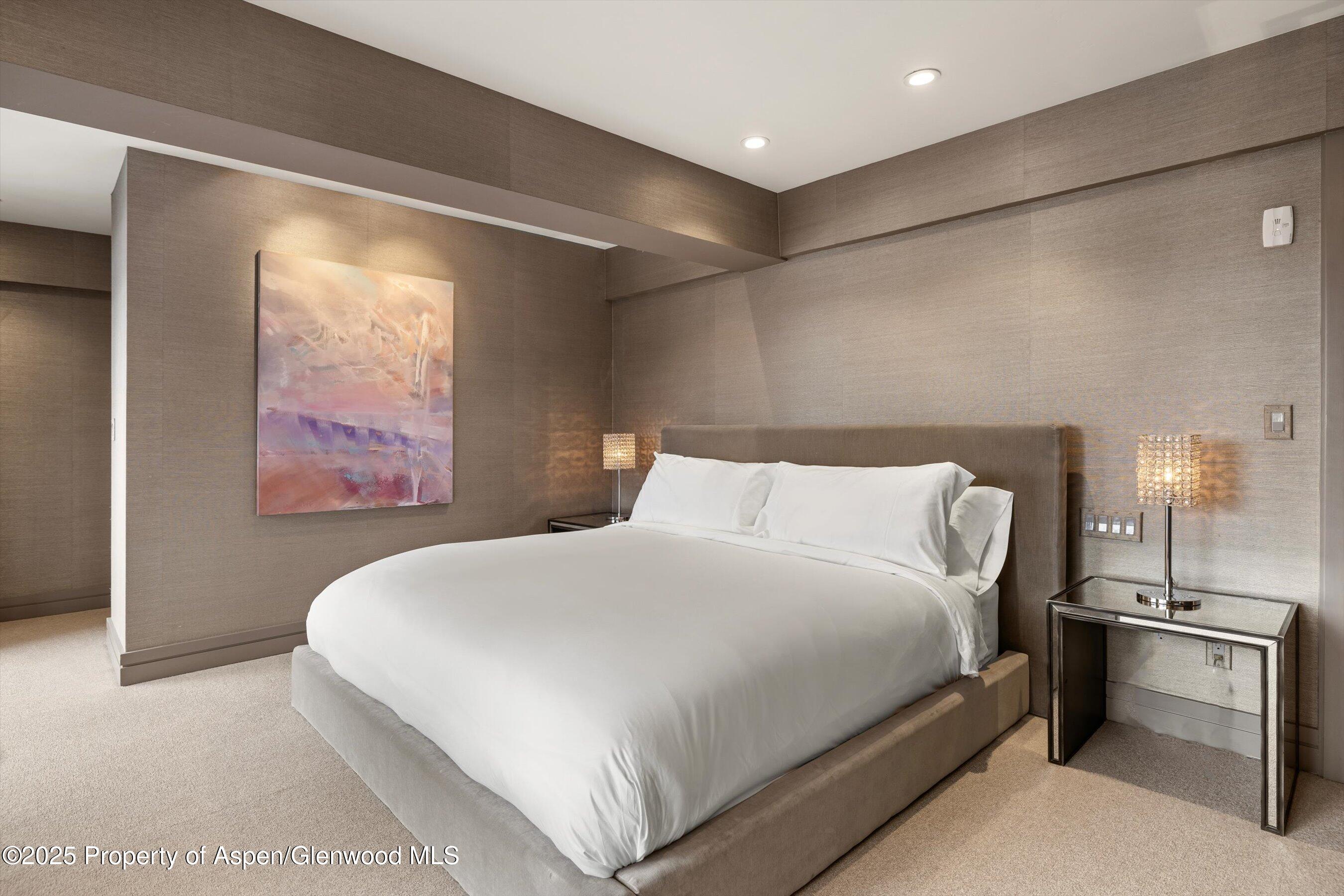 730 S Galena Street Aspen CO 81611