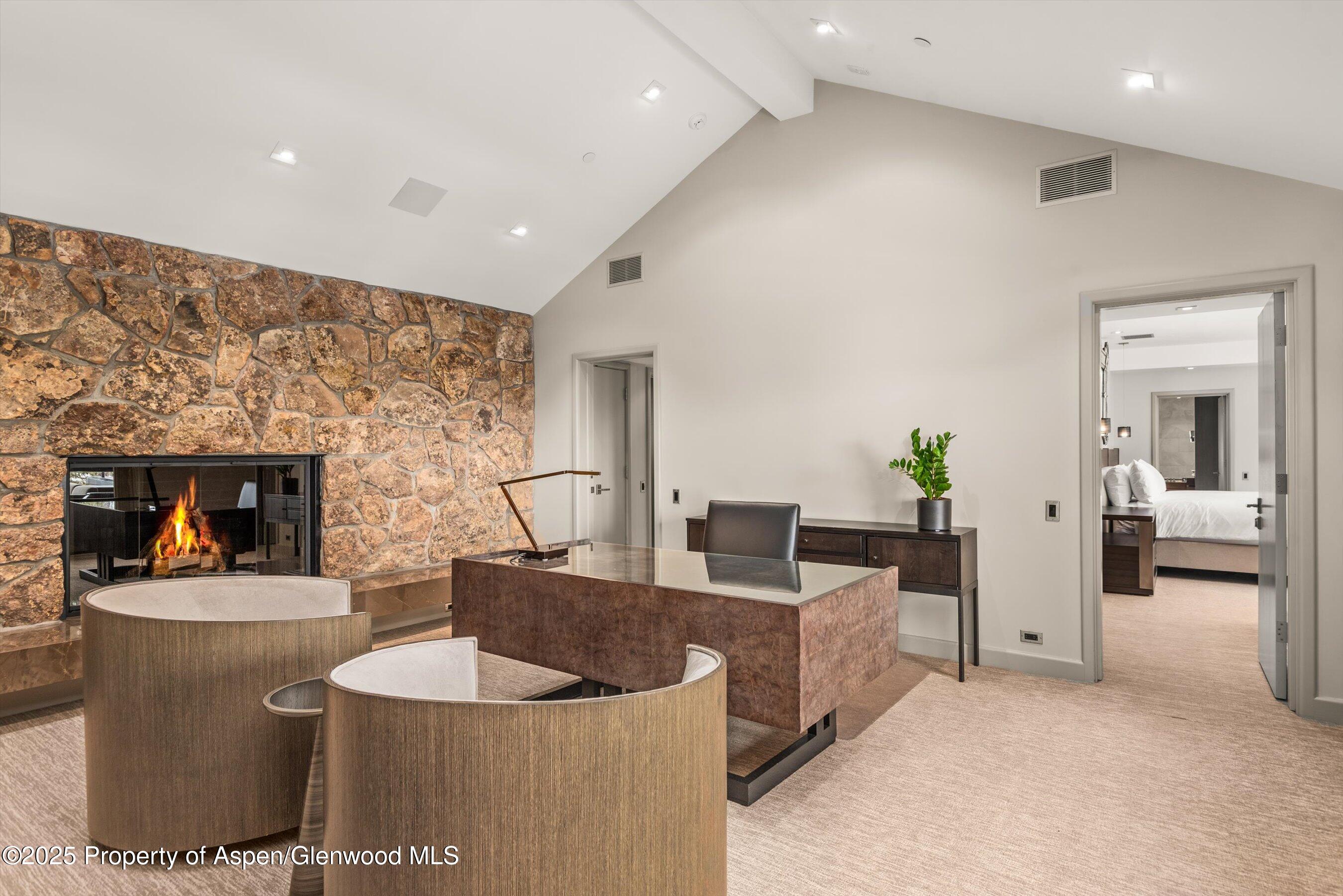 730 S Galena Street Aspen CO 81611