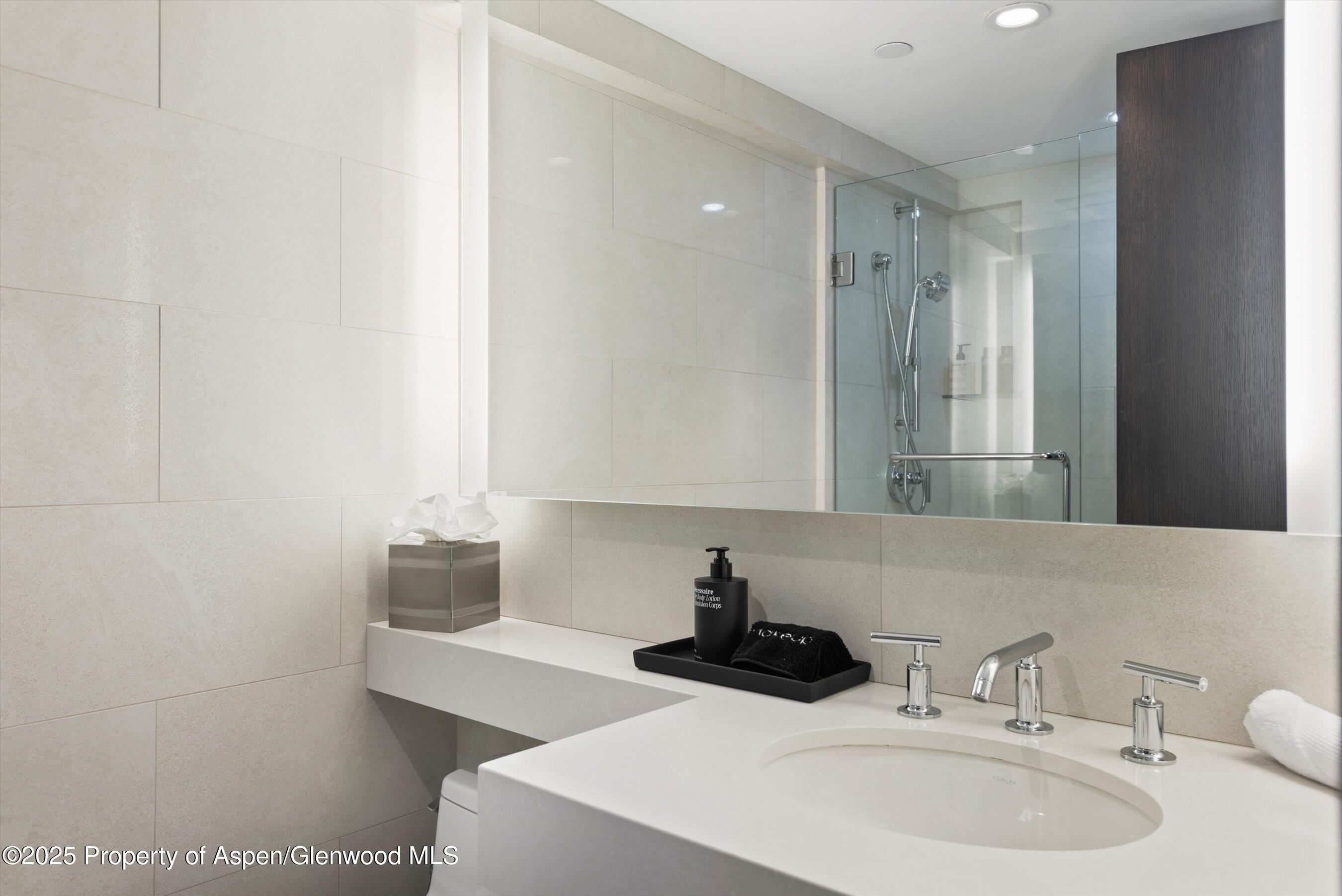 730 S Galena Street Aspen CO 81611