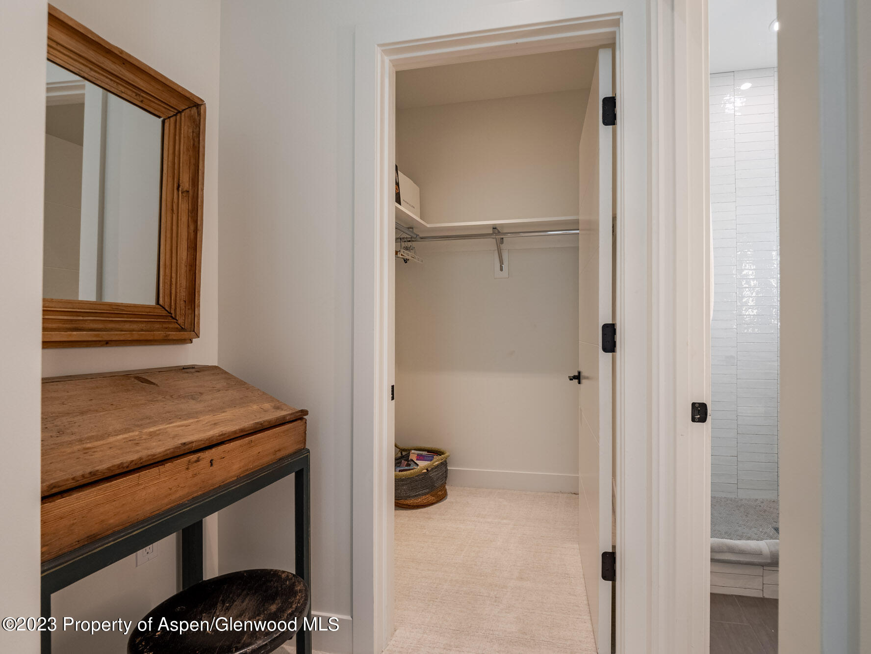 22858 Two Rivers Road Basalt CO 81621