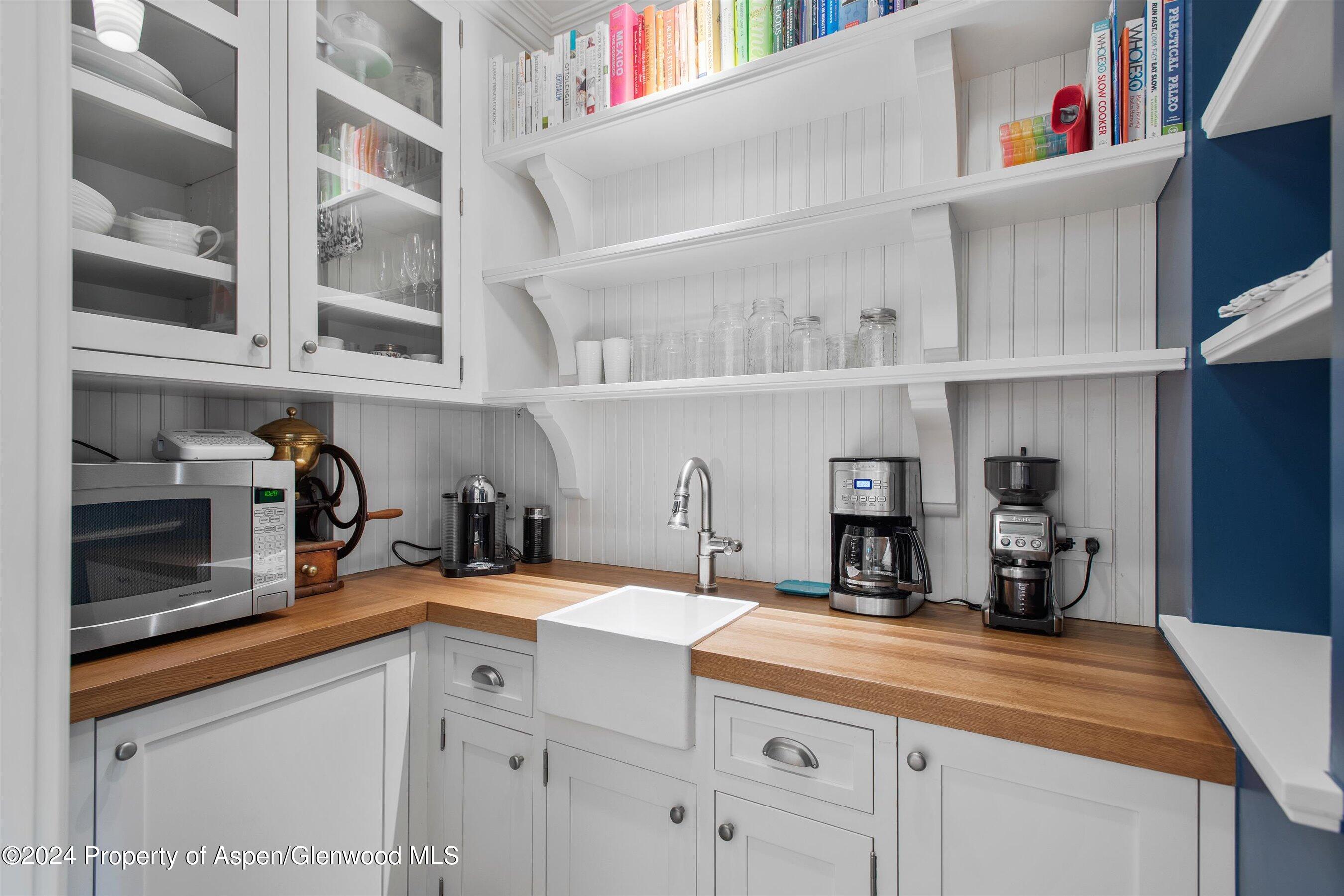 1230 Snowbunny Lane Aspen CO 81611