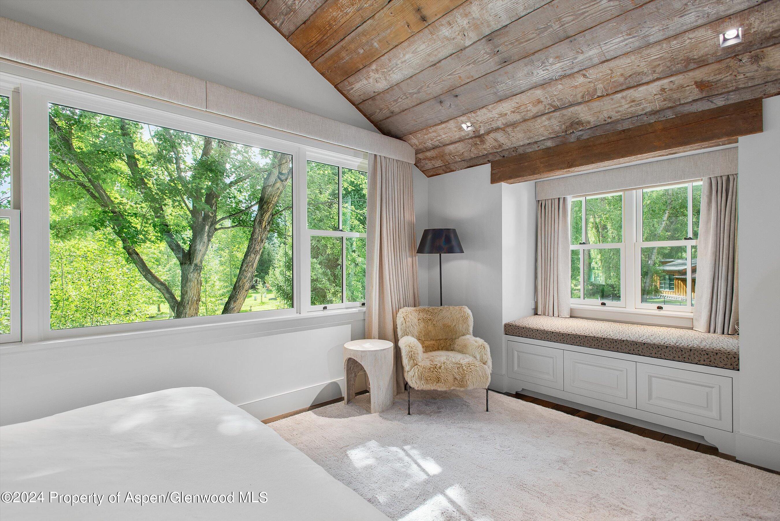 1230 Snowbunny Lane Aspen CO 81611