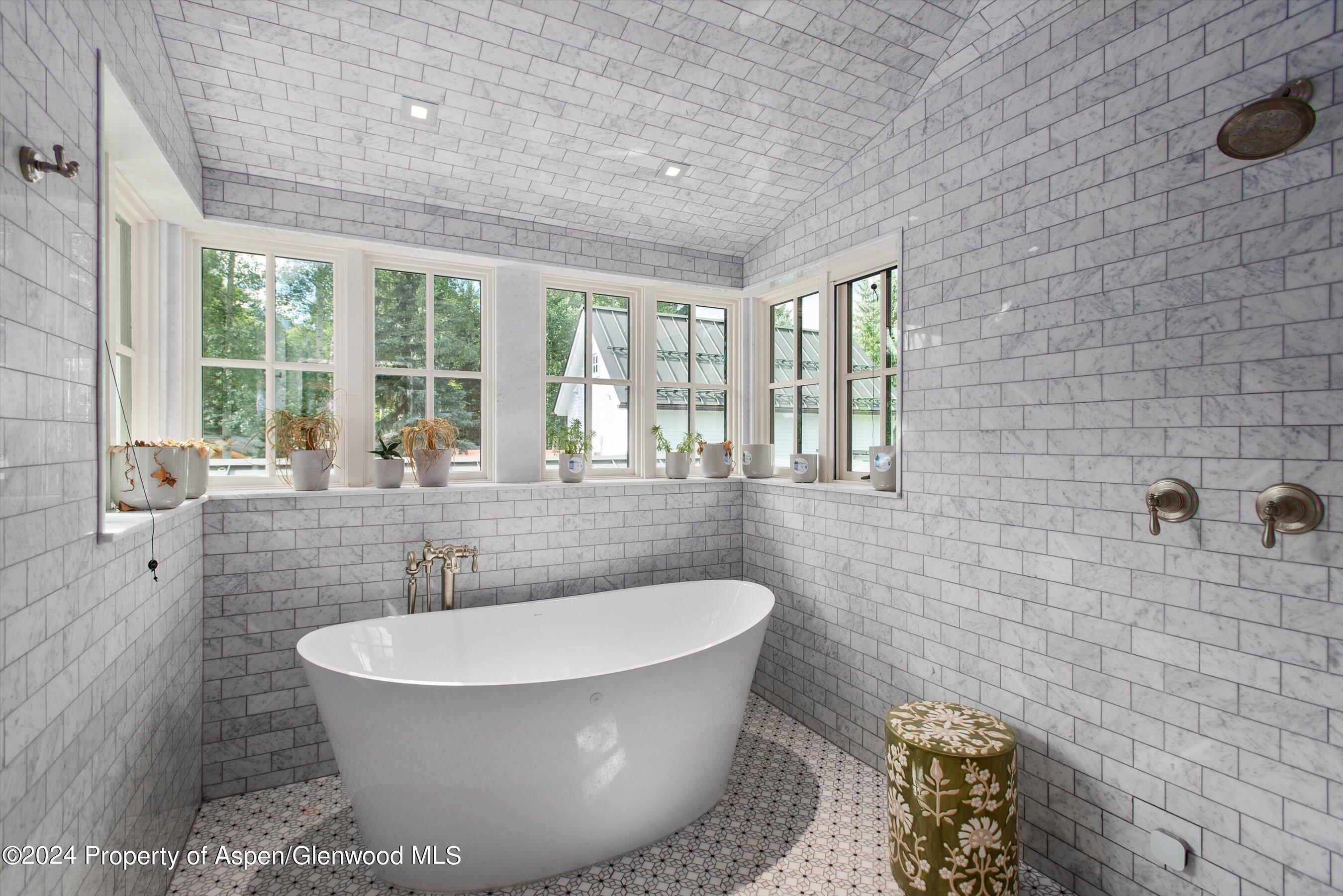 1230 Snowbunny Lane Aspen CO 81611