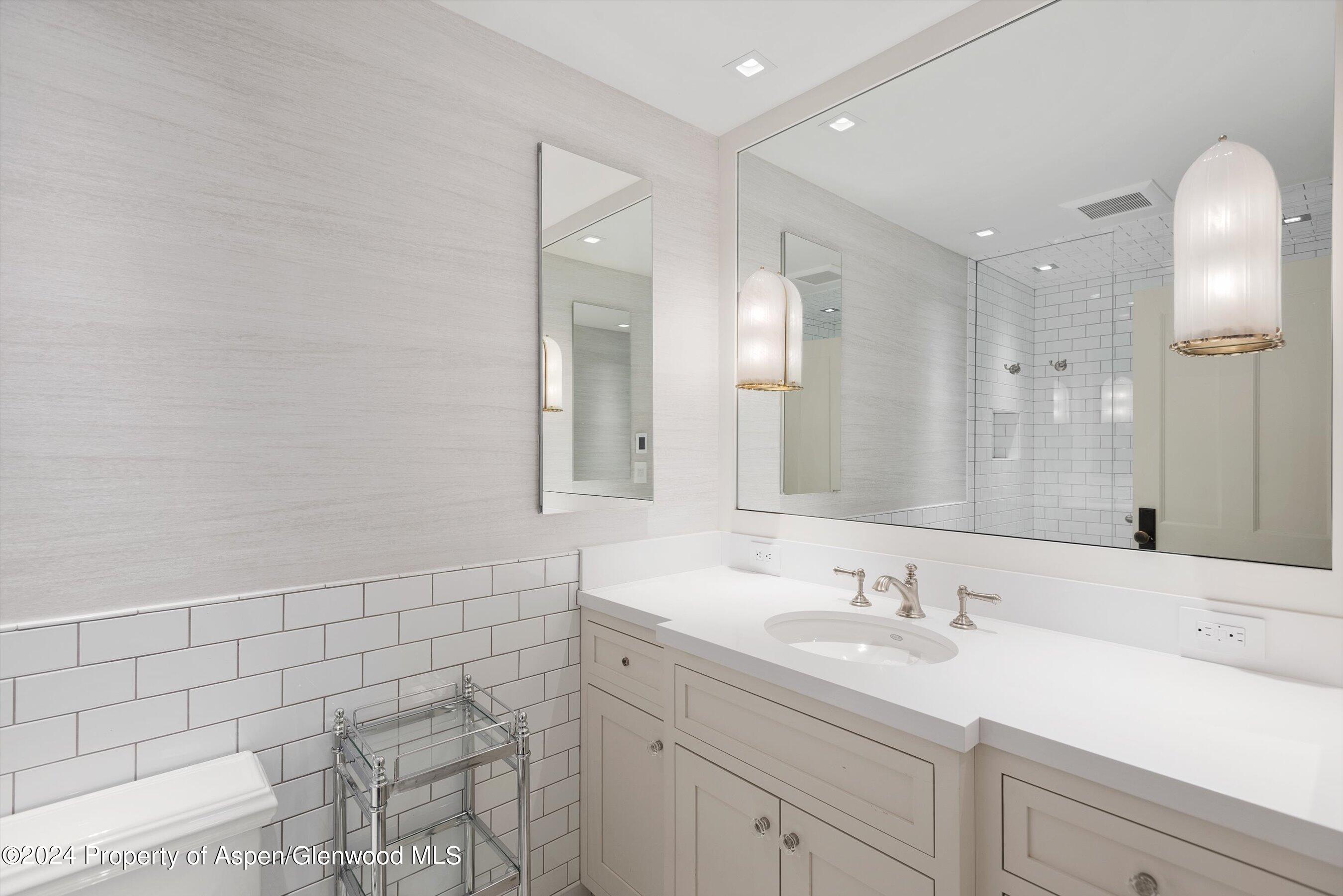 1230 Snowbunny Lane Aspen CO 81611