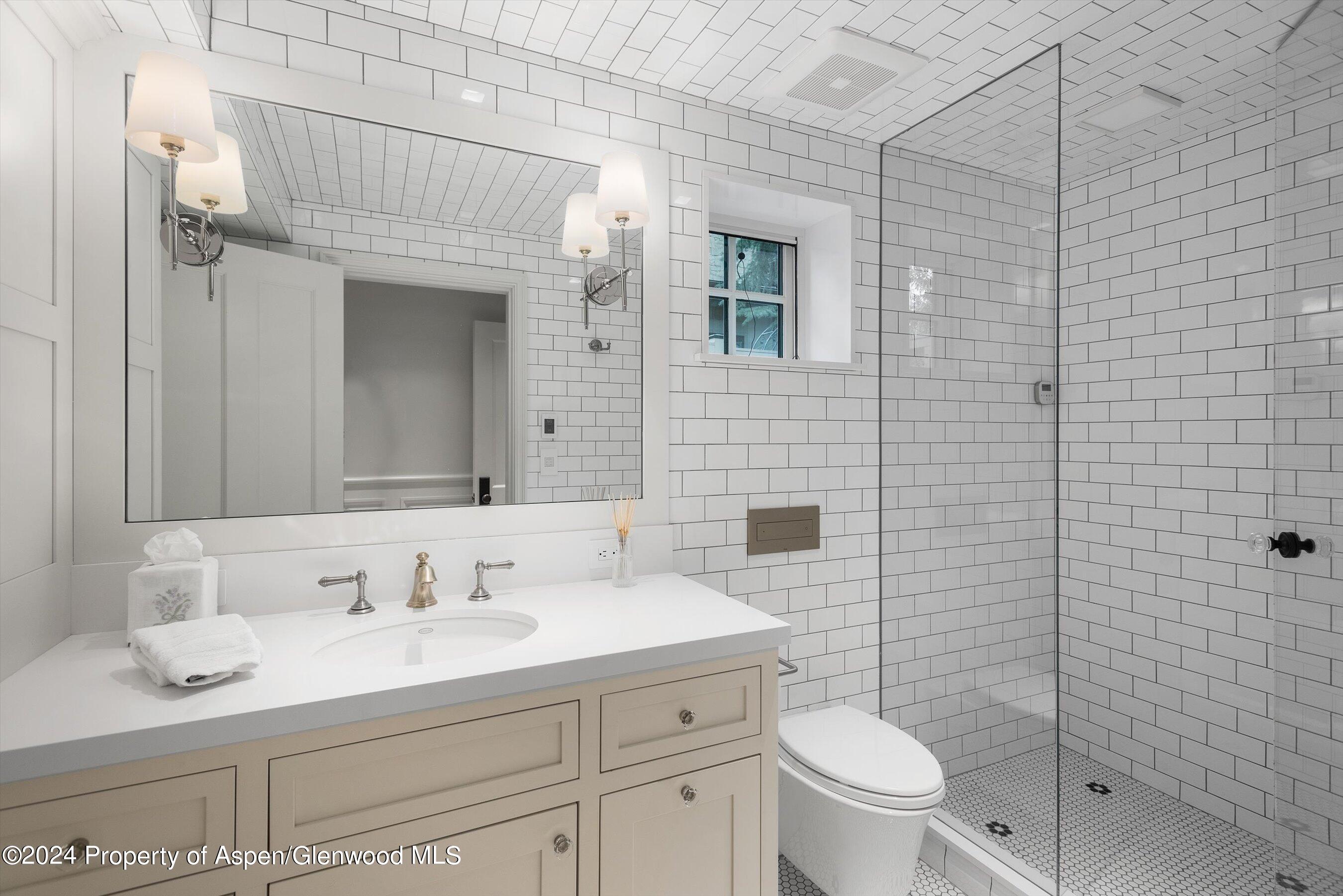 1230 Snowbunny Lane Aspen CO 81611