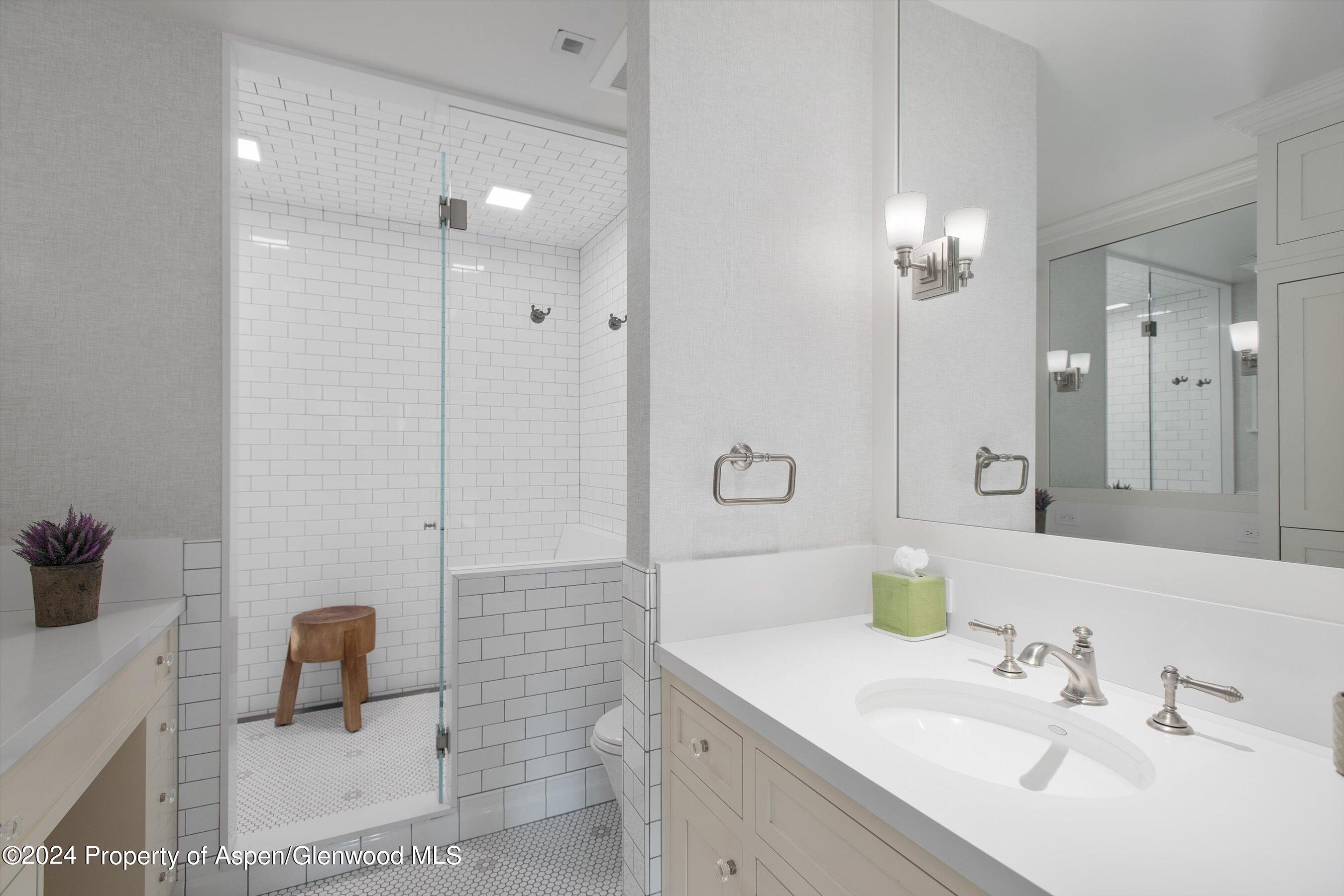 1230 Snowbunny Lane Aspen CO 81611