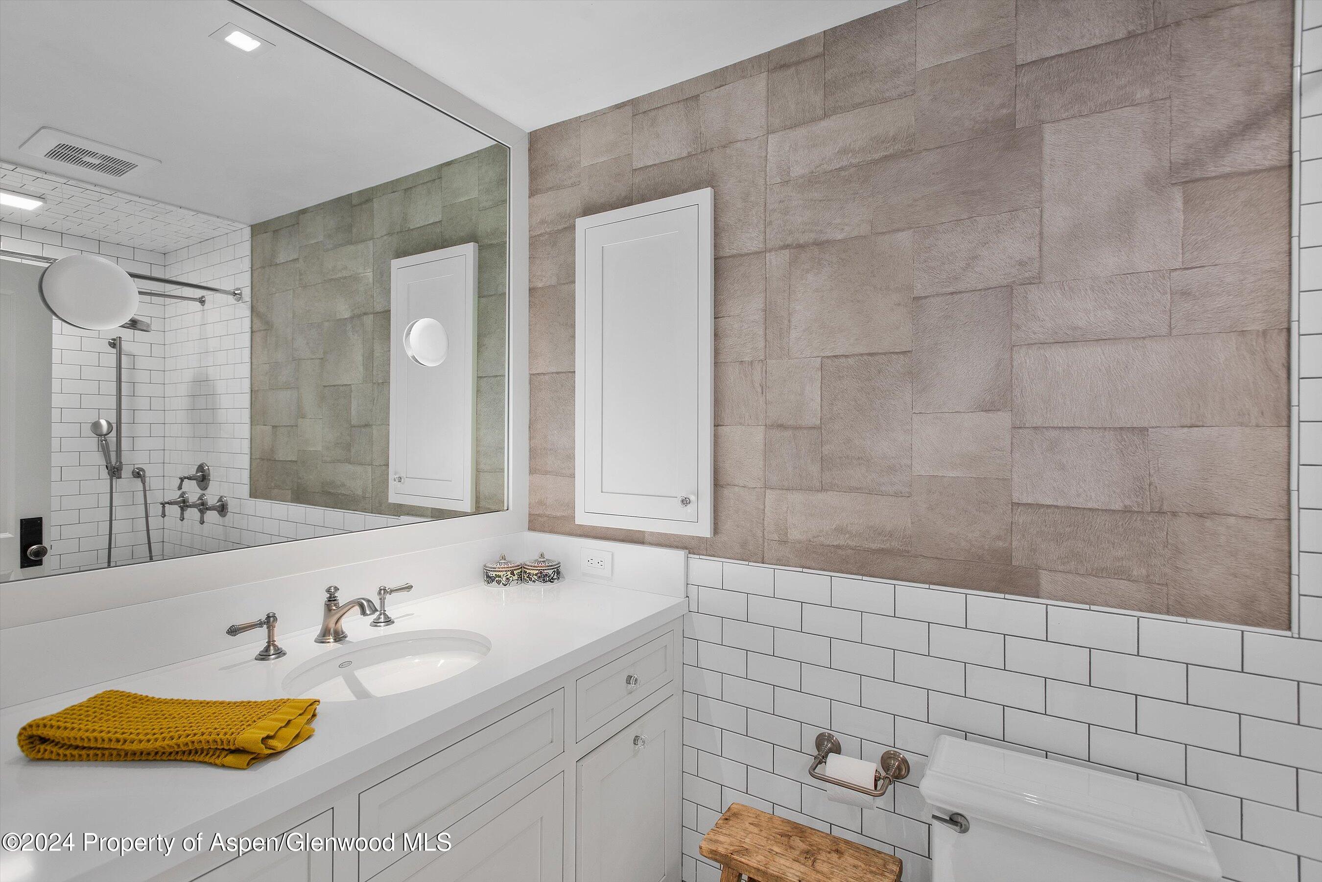 1230 Snowbunny Lane Aspen CO 81611