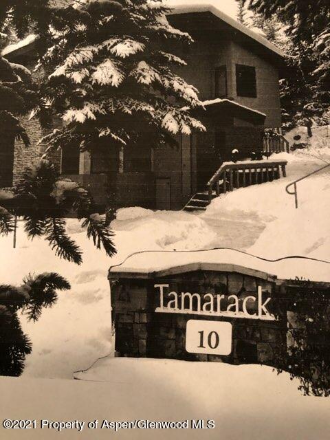 135 Carriage Way Snowmass Village CO 81615