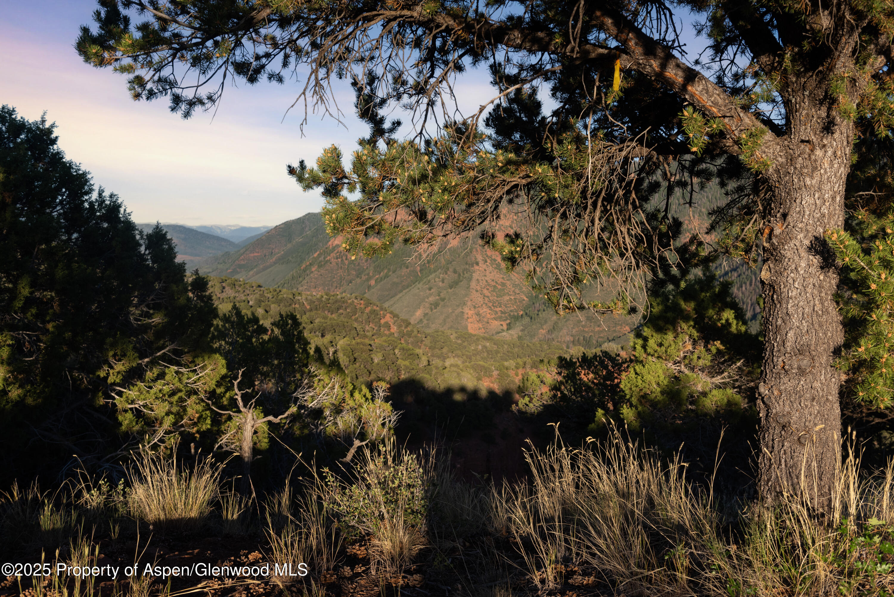 2800 Cedar Drive Basalt CO 81621