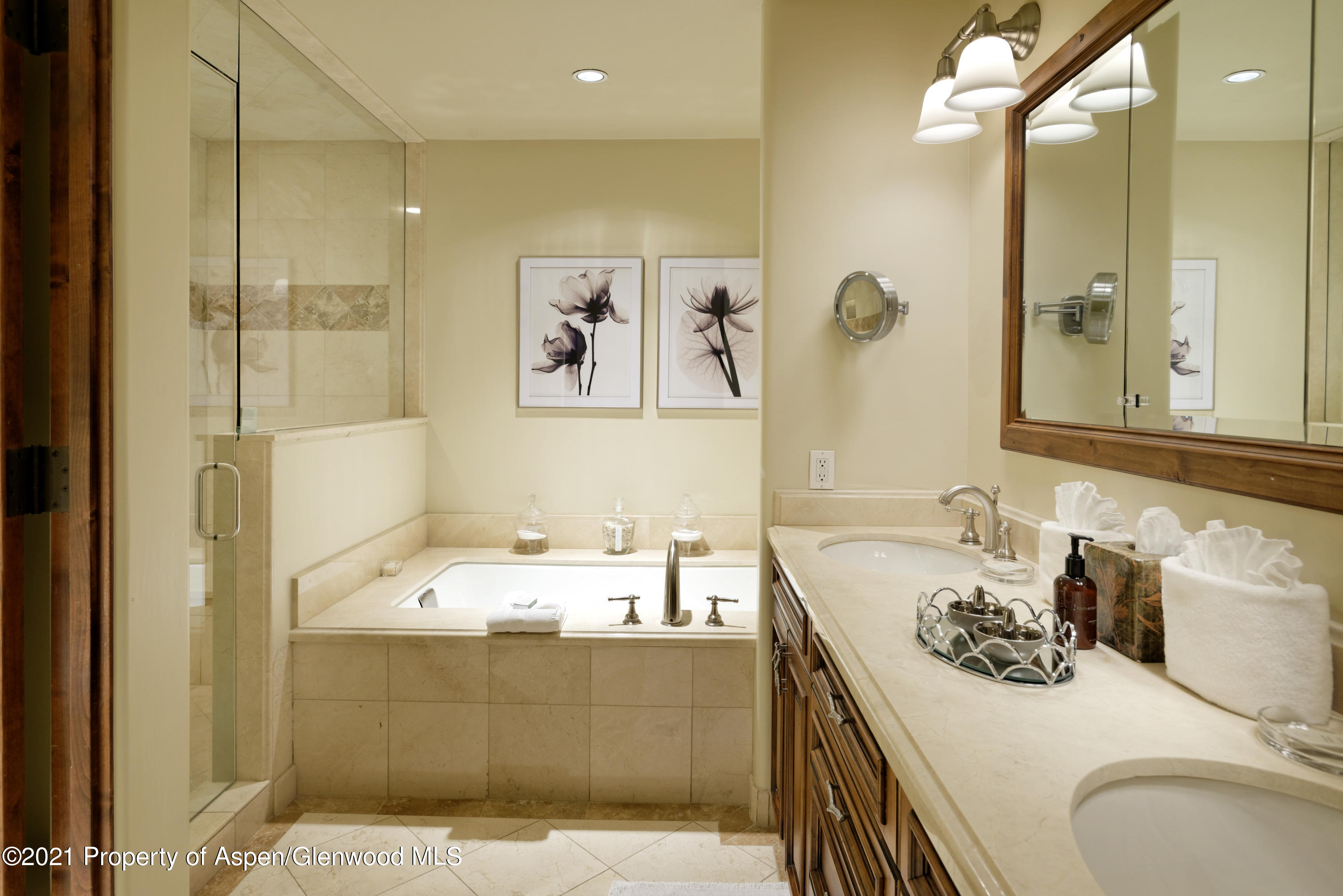 55 Timbers Club Court Snowmass Village CO 81615