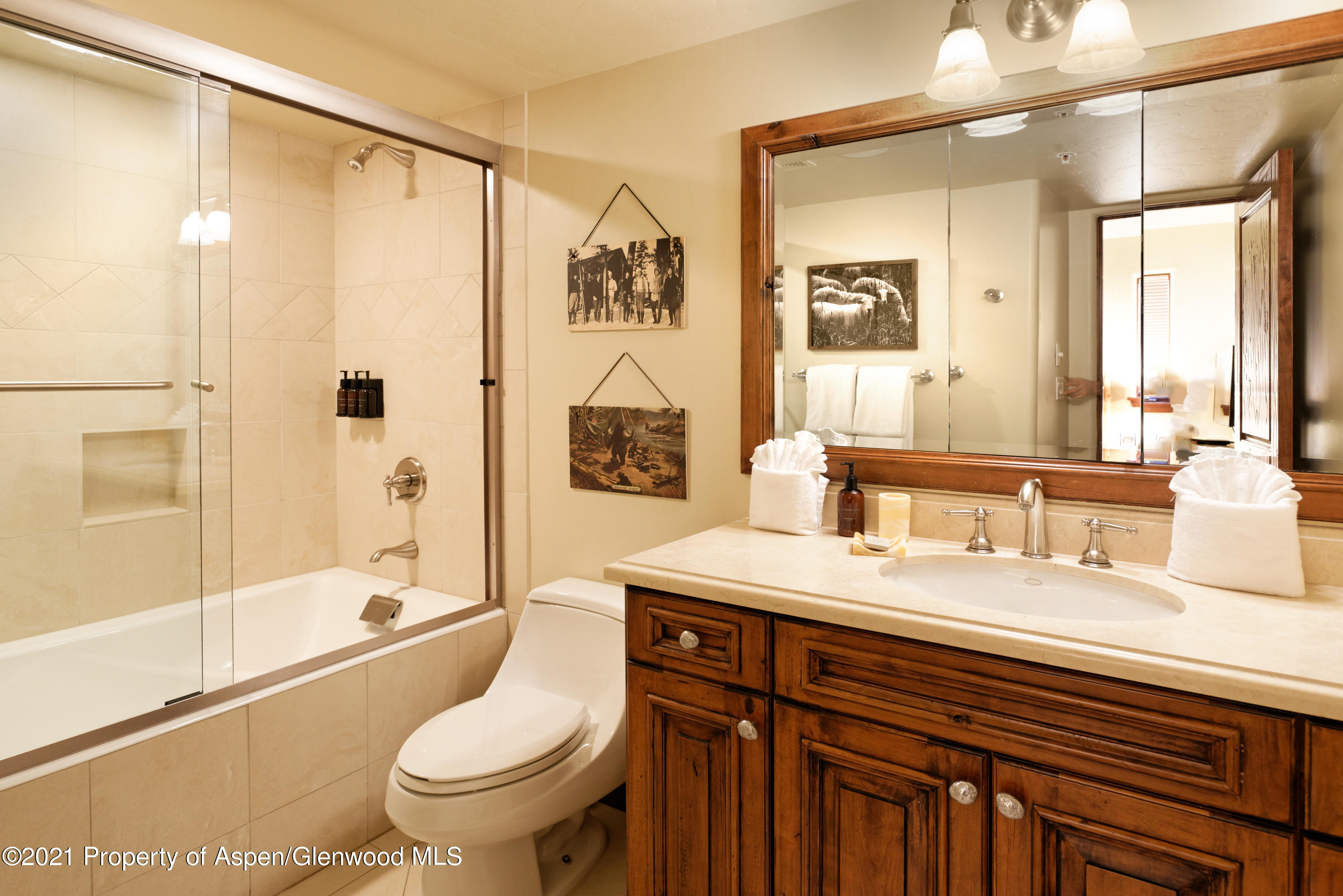 55 Timbers Club Court Snowmass Village CO 81615