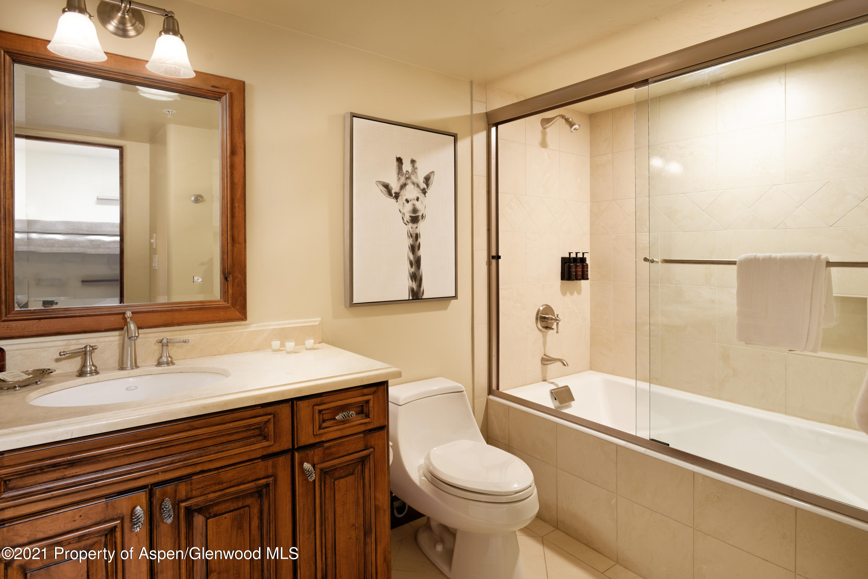 55 Timbers Club Court Snowmass Village CO 81615