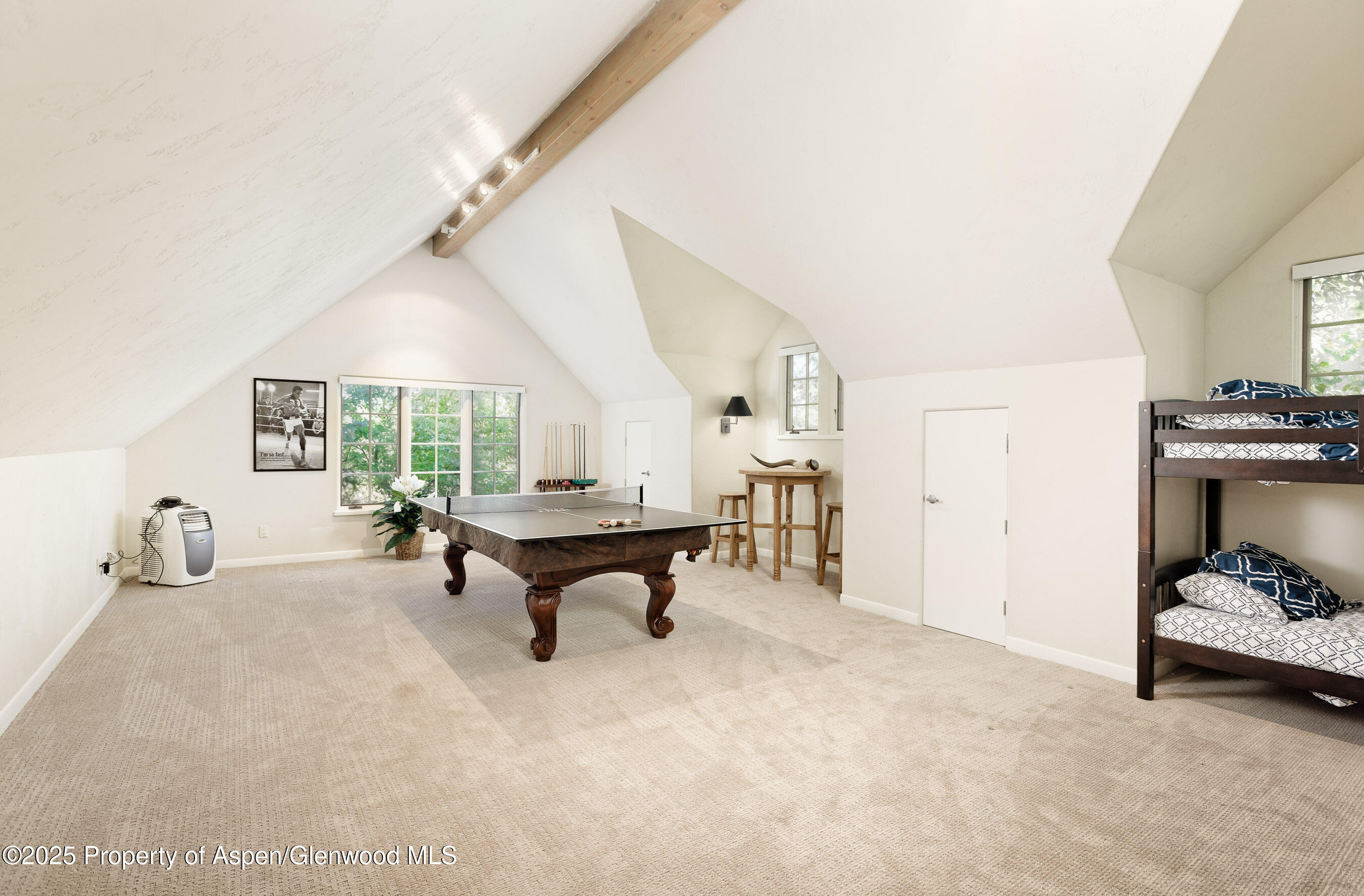 254 Diamond A Ranch Road Carbondale CO 81623