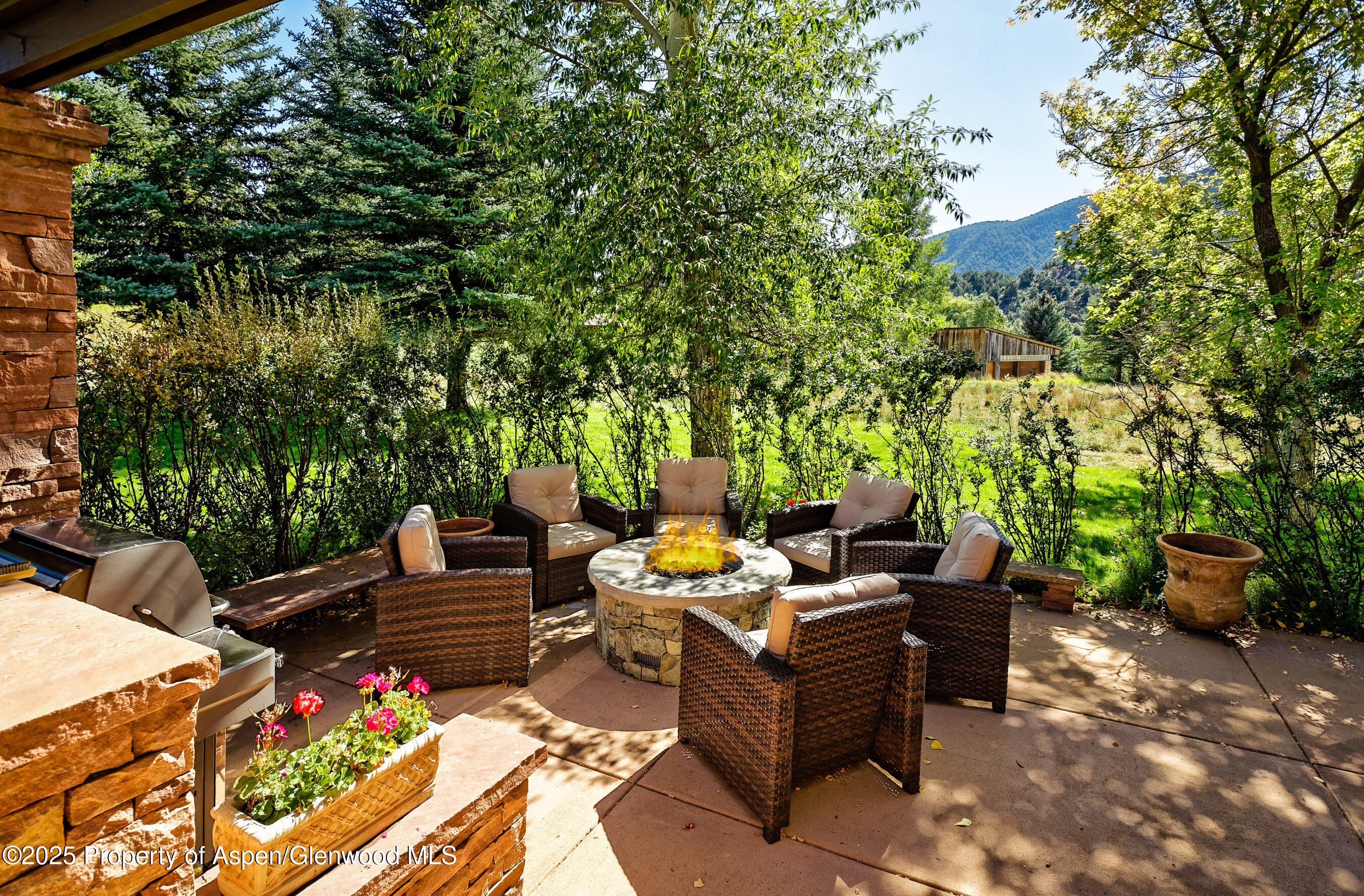 254 Diamond A Ranch Road Carbondale CO 81623