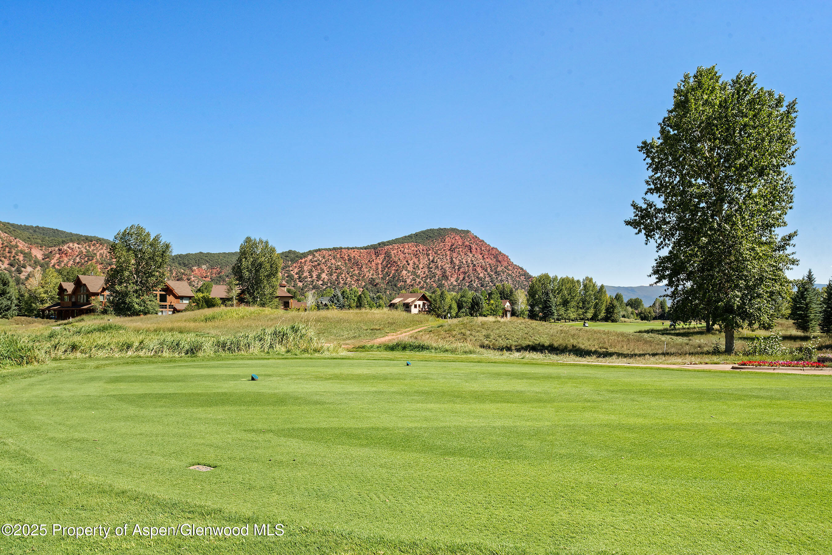 254 Diamond A Ranch Road Carbondale CO 81623