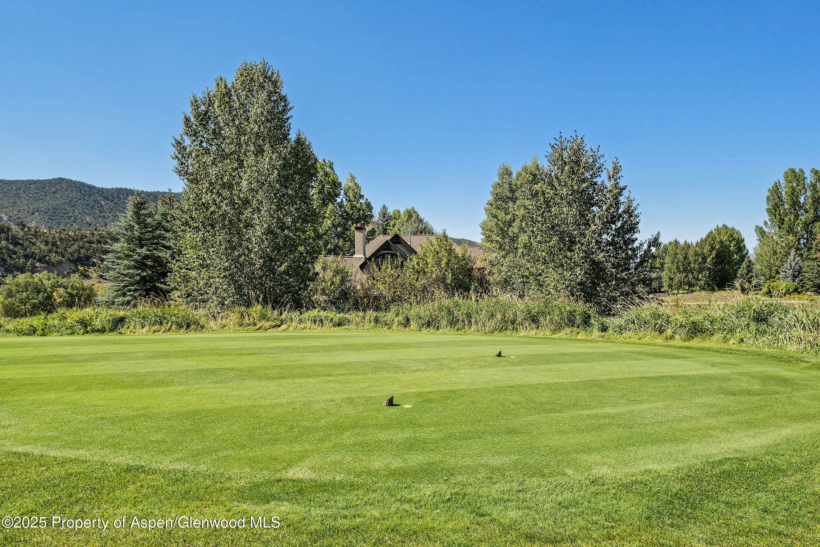 254 Diamond A Ranch Road Carbondale CO 81623